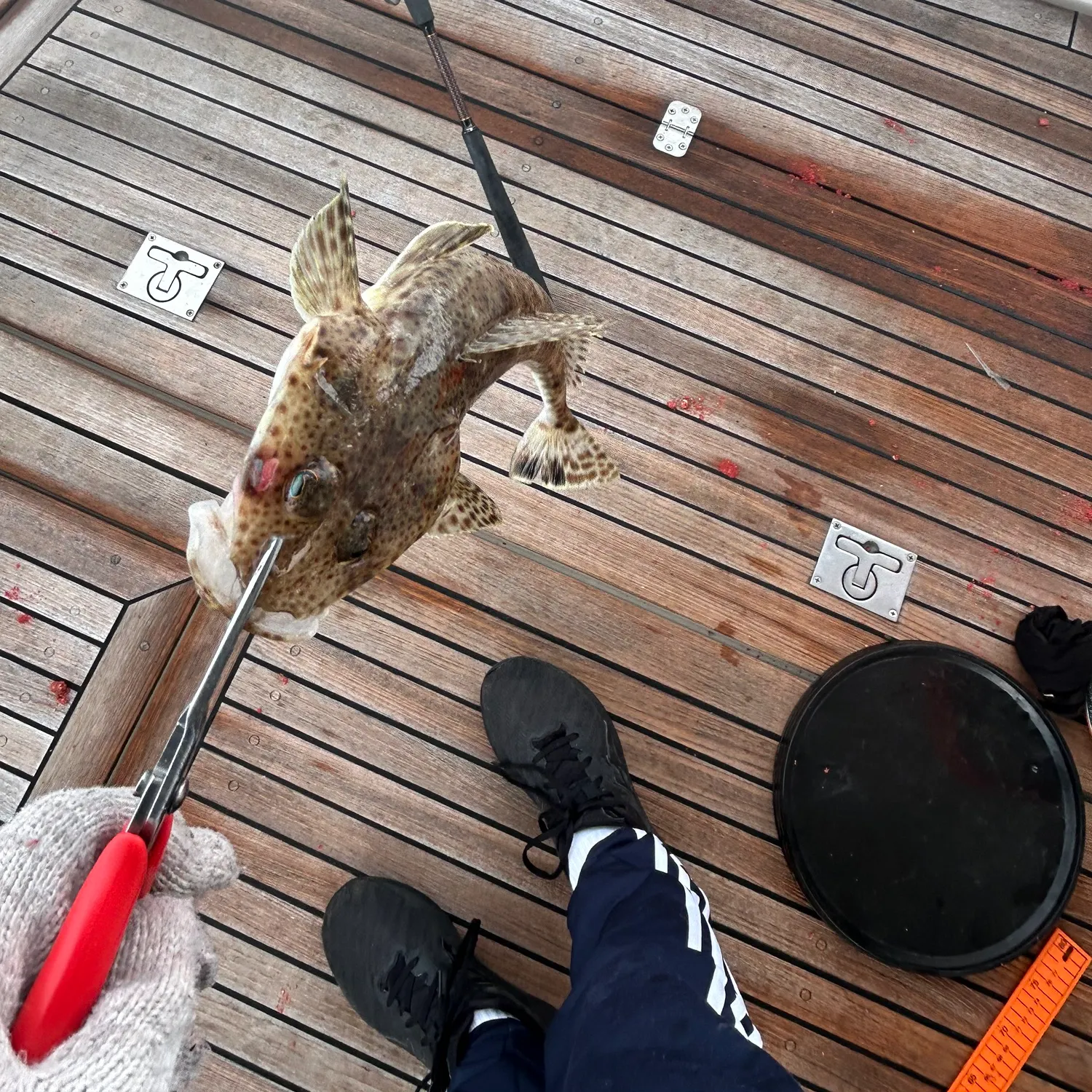 catch