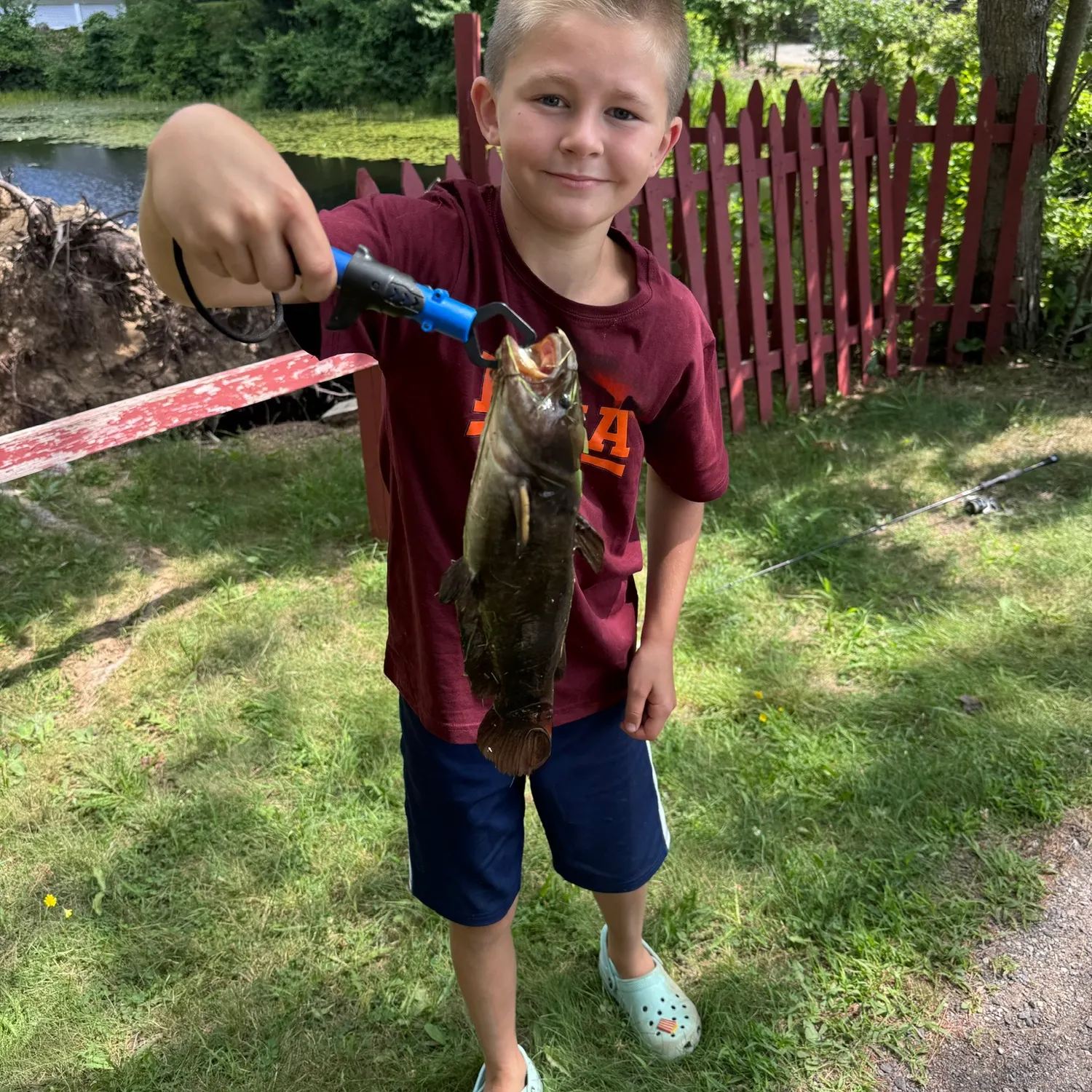 Black bullhead caught on Fishbrain