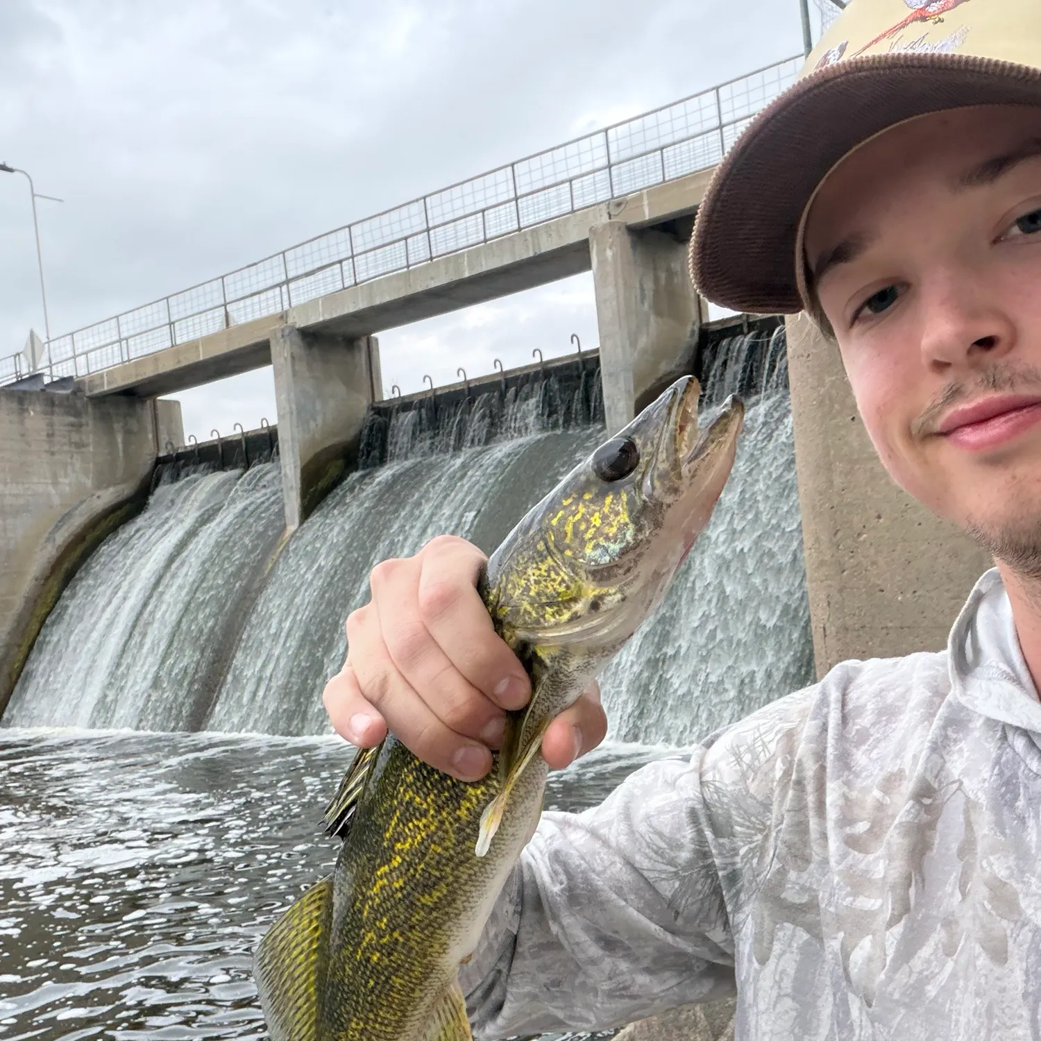 Walleye caught on Fishbrain