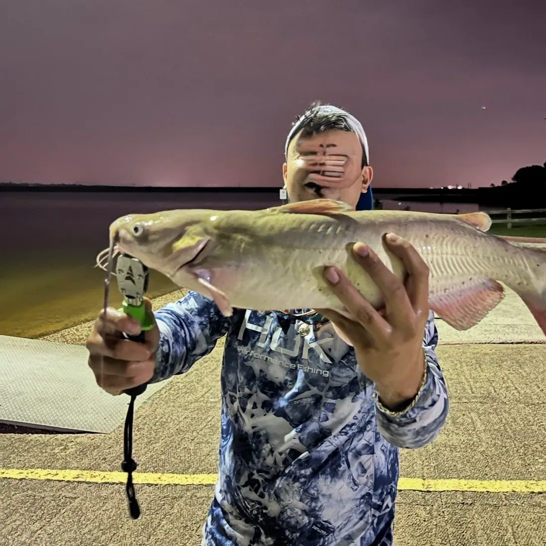 Blue catfish caught on Fishbrain