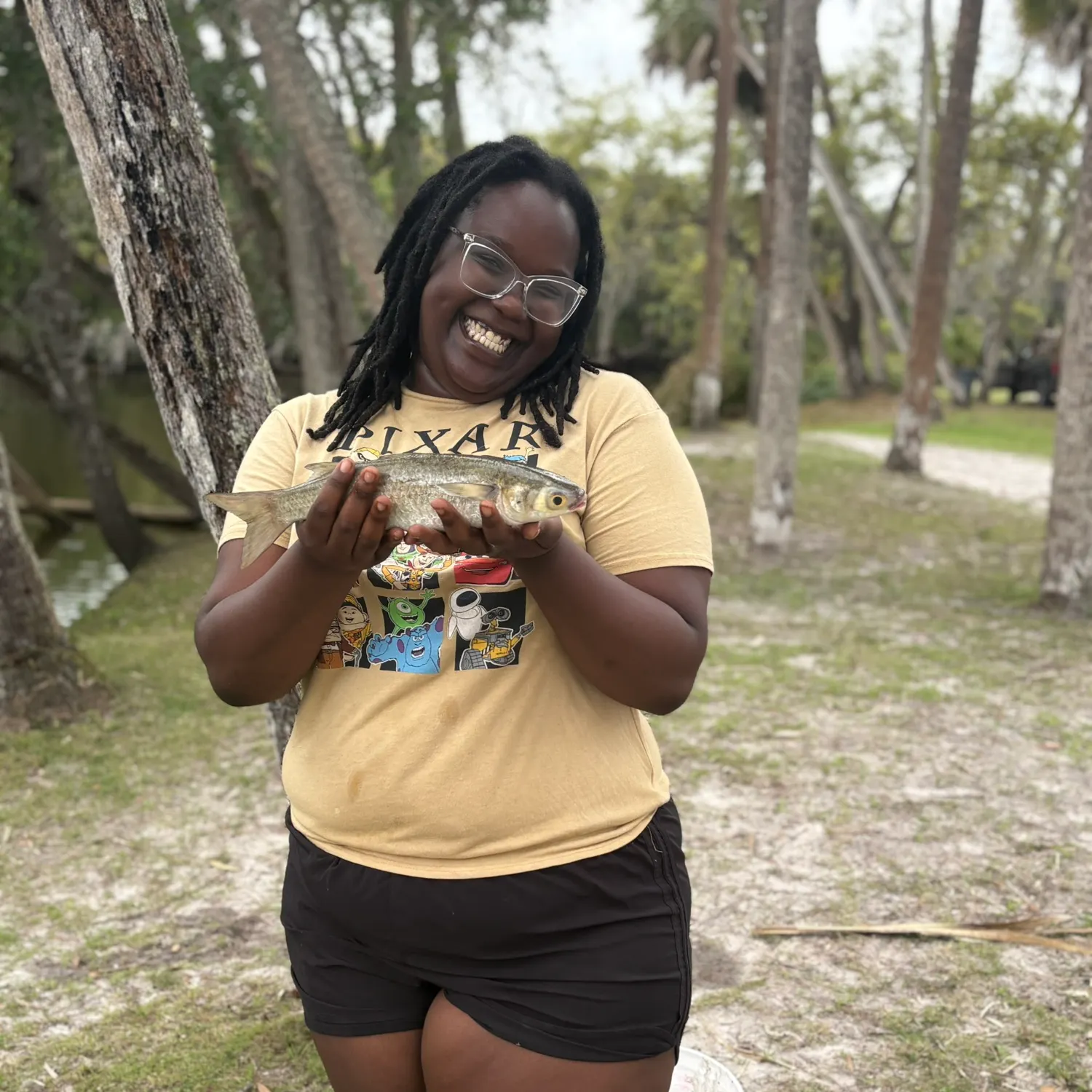 The most recent Thicklip grey mullet catches on Fishbrain