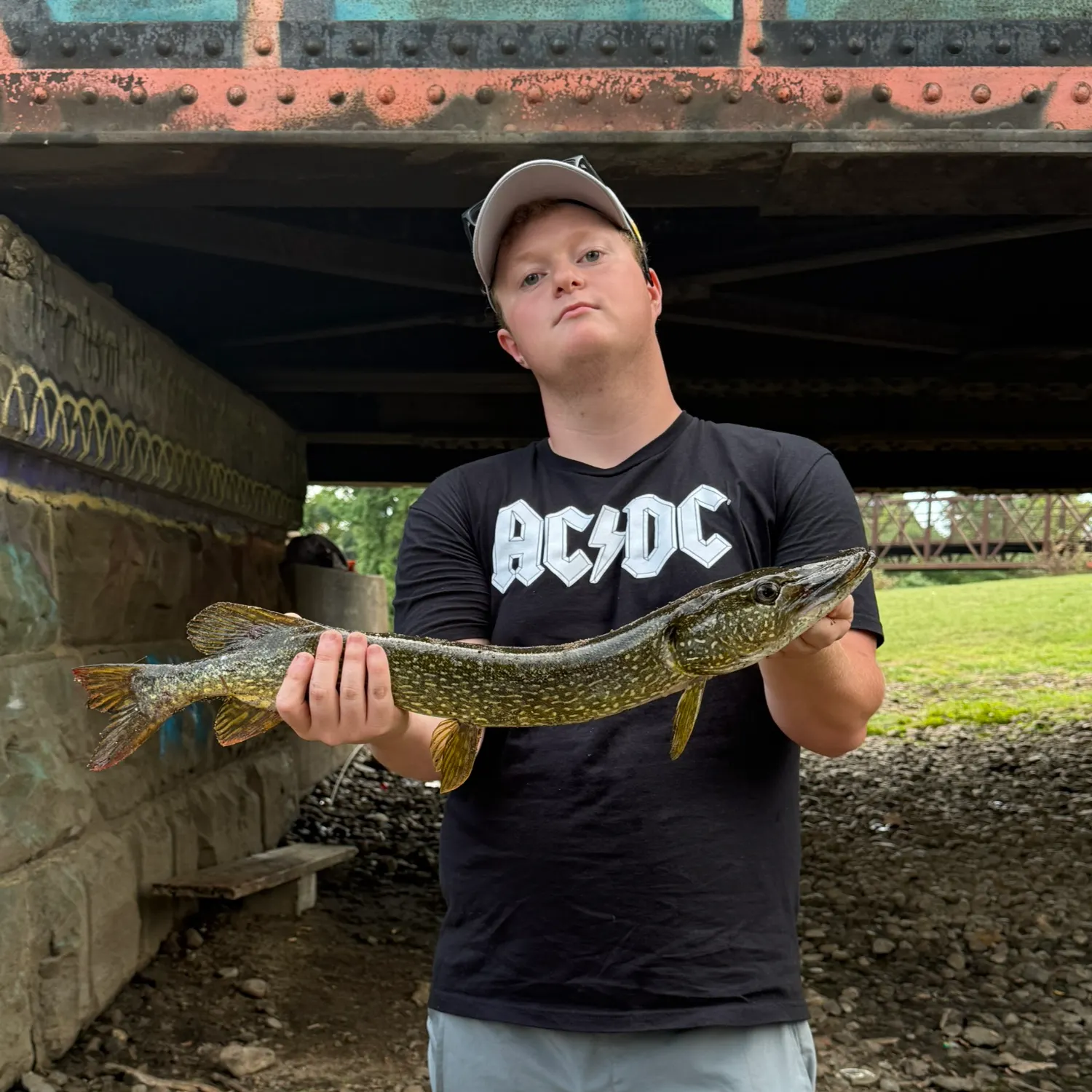 Northern pike caught on Fishbrain