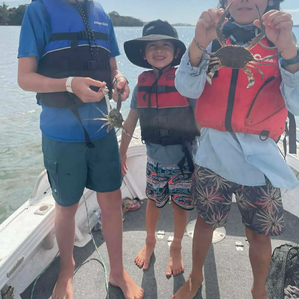 The most recent Blue swimmer crab catches on Fishbrain