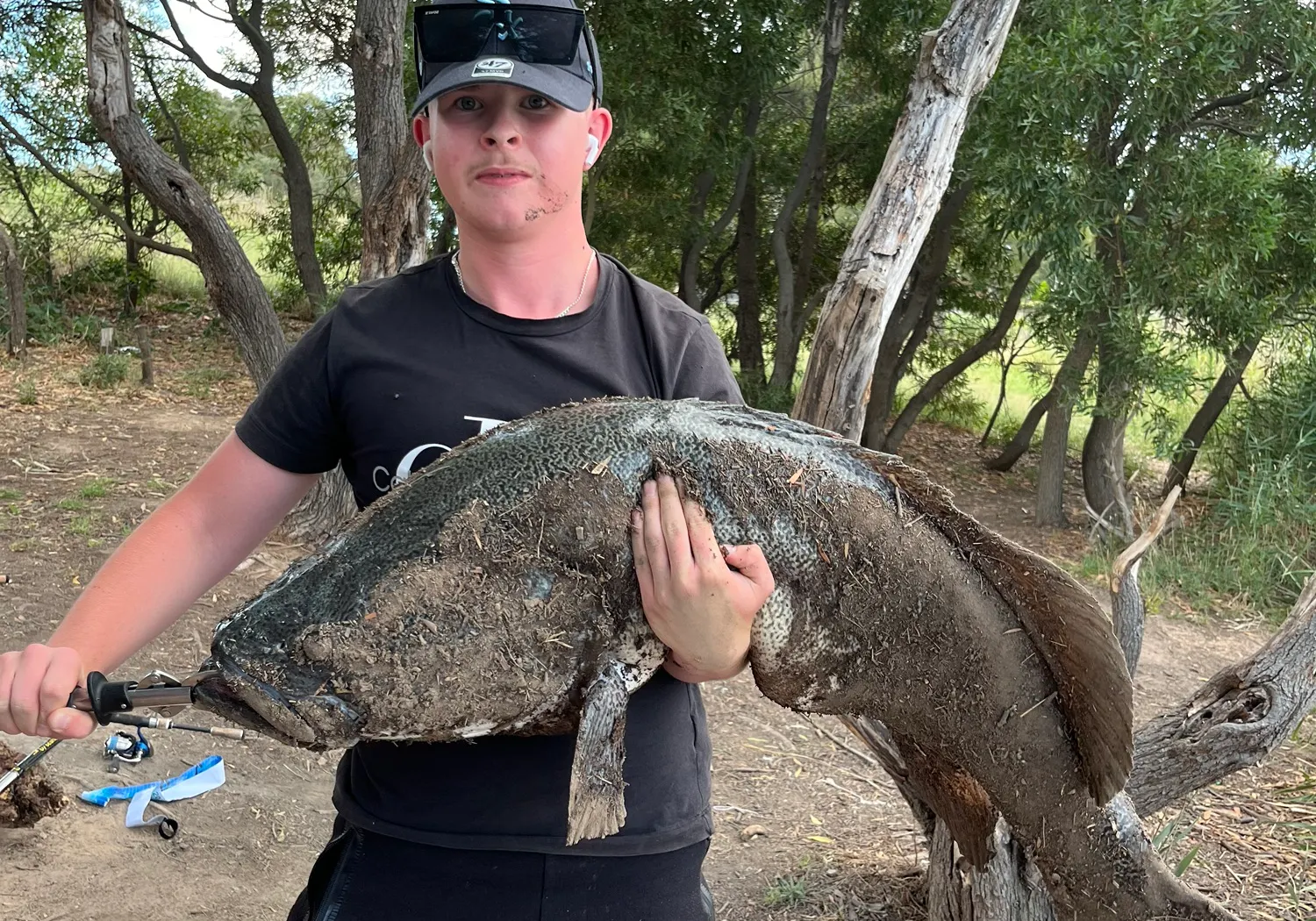 Murray cod