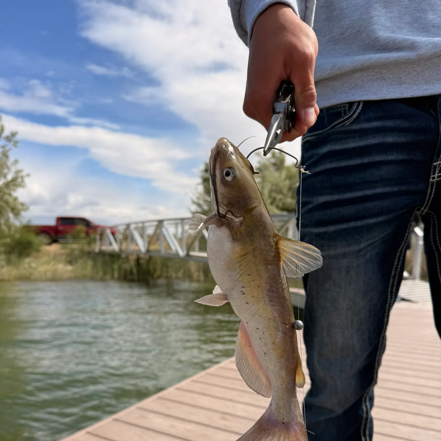 catch