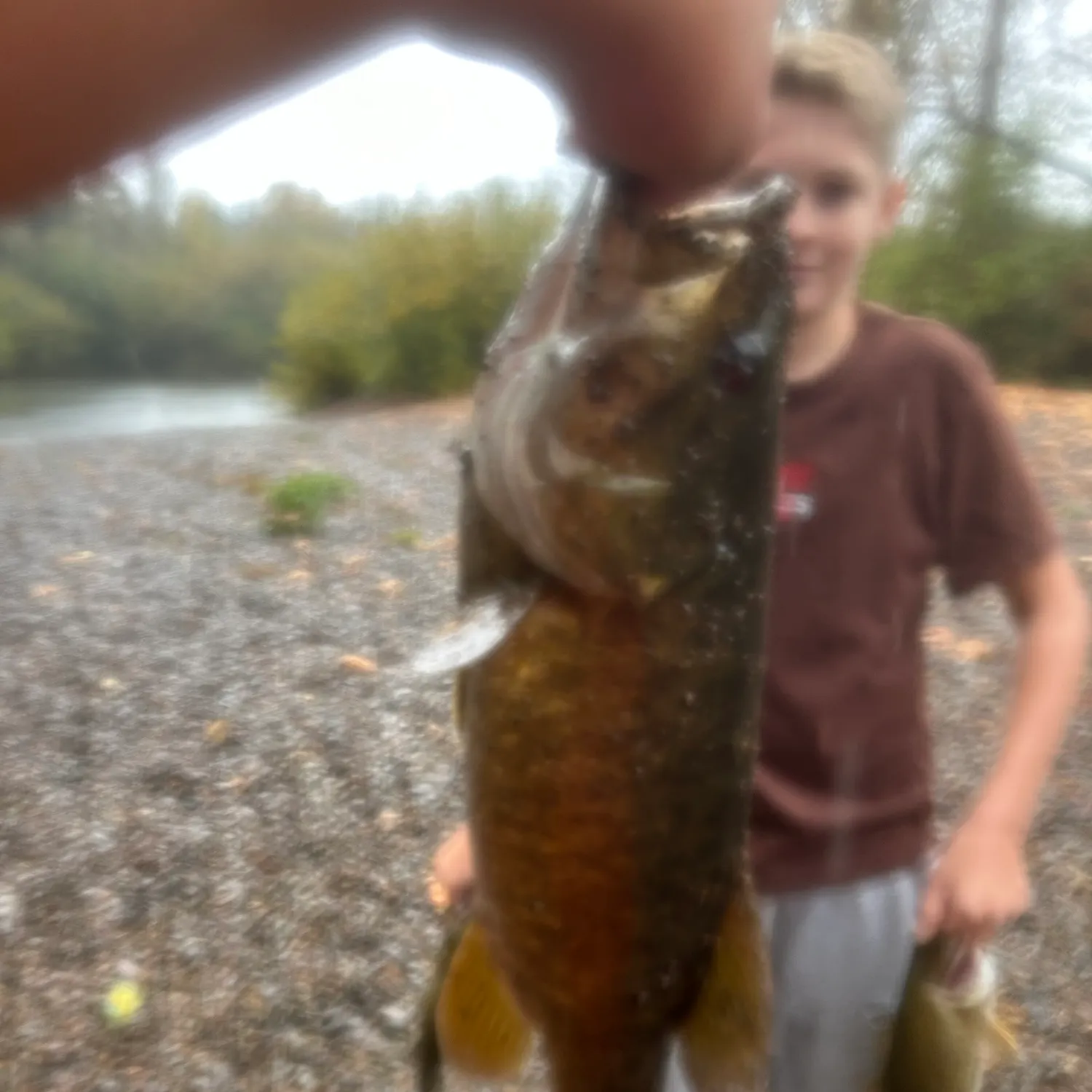 Smallmouth bass caught on Fishbrain