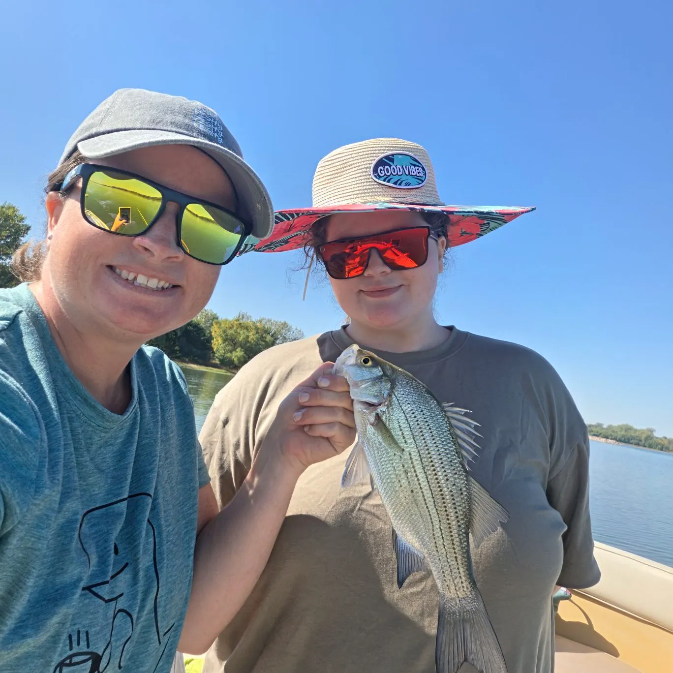White bass caught on Fishbrain