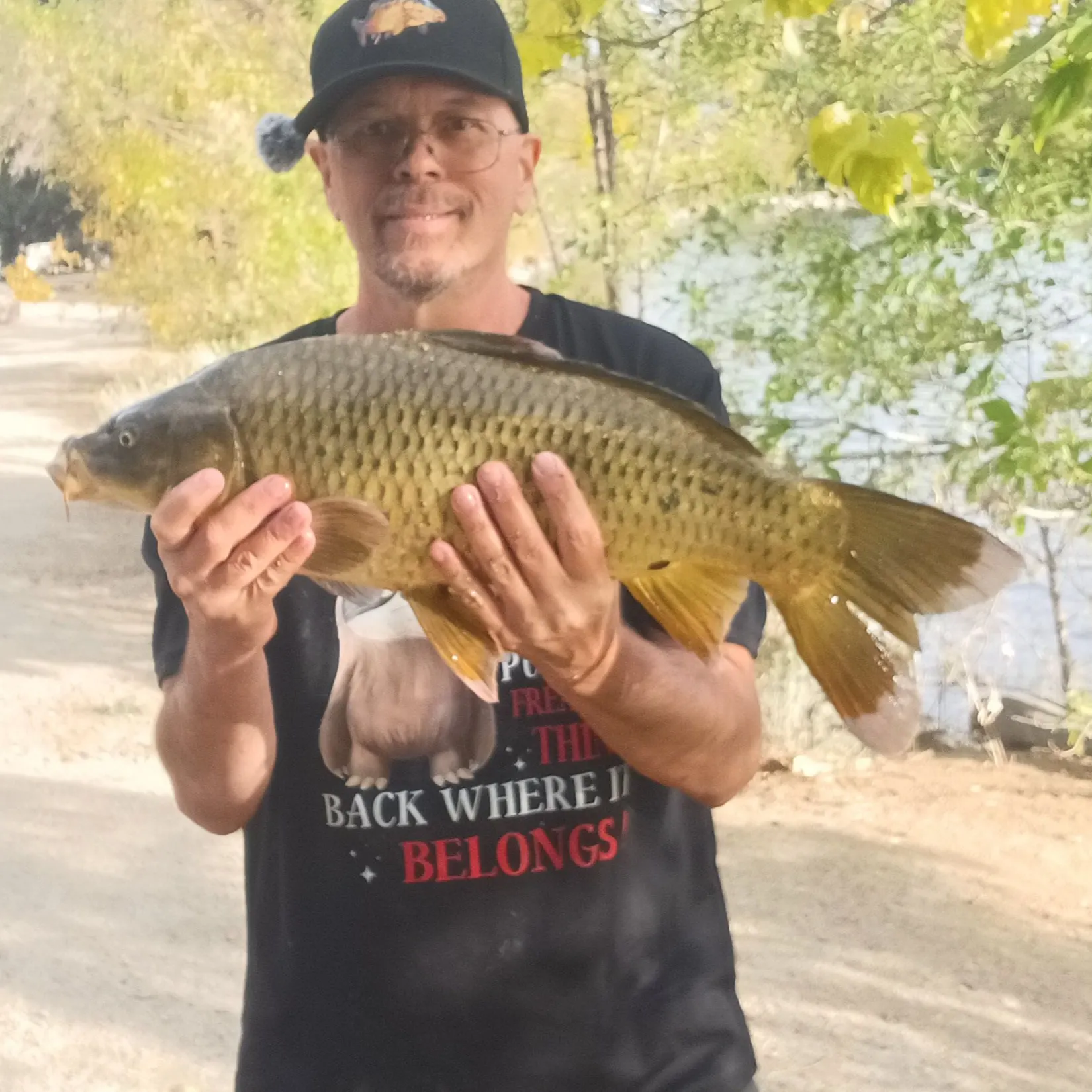 Common carp caught on Fishbrain