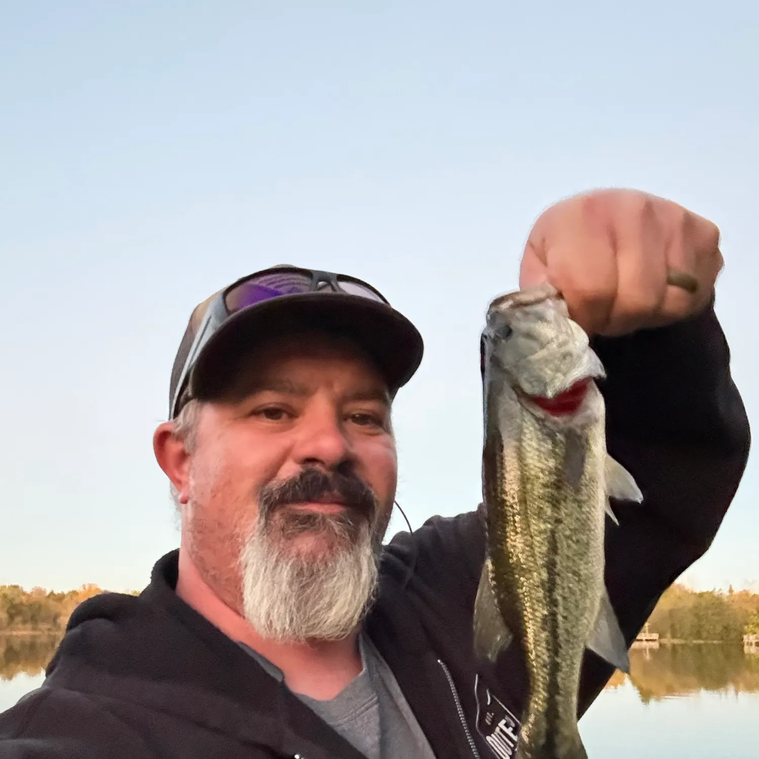 Largemouth bass caught on Fishbrain