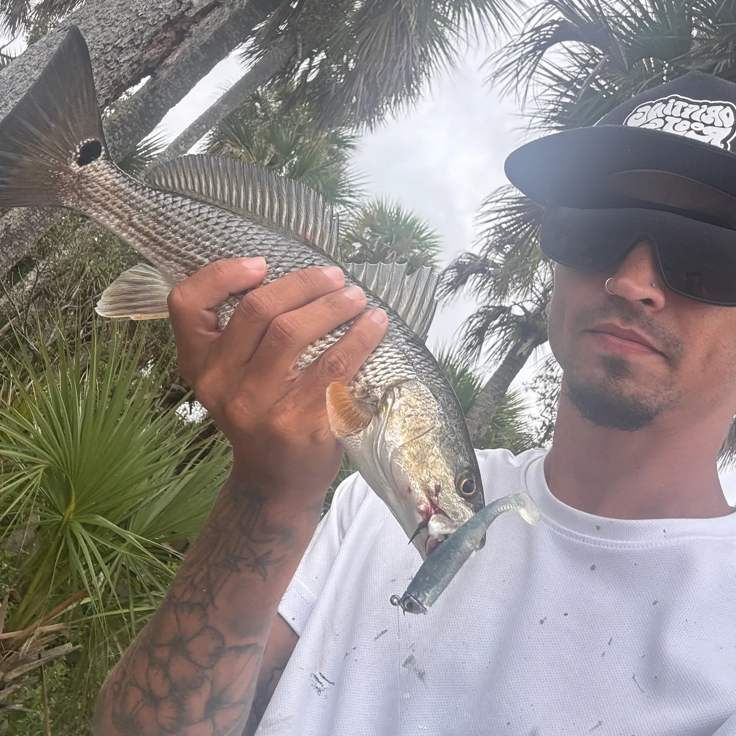 Red drum caught on Fishbrain