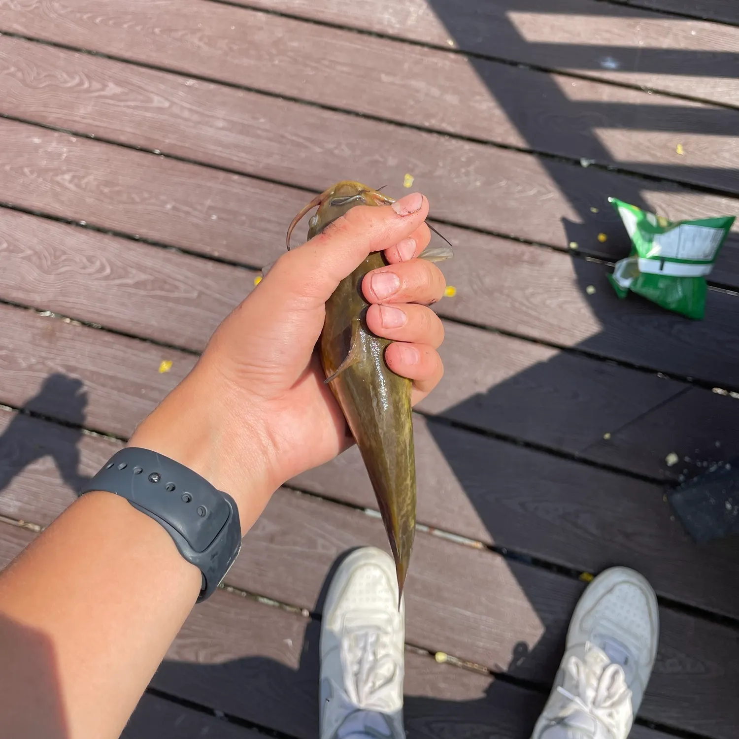 catch