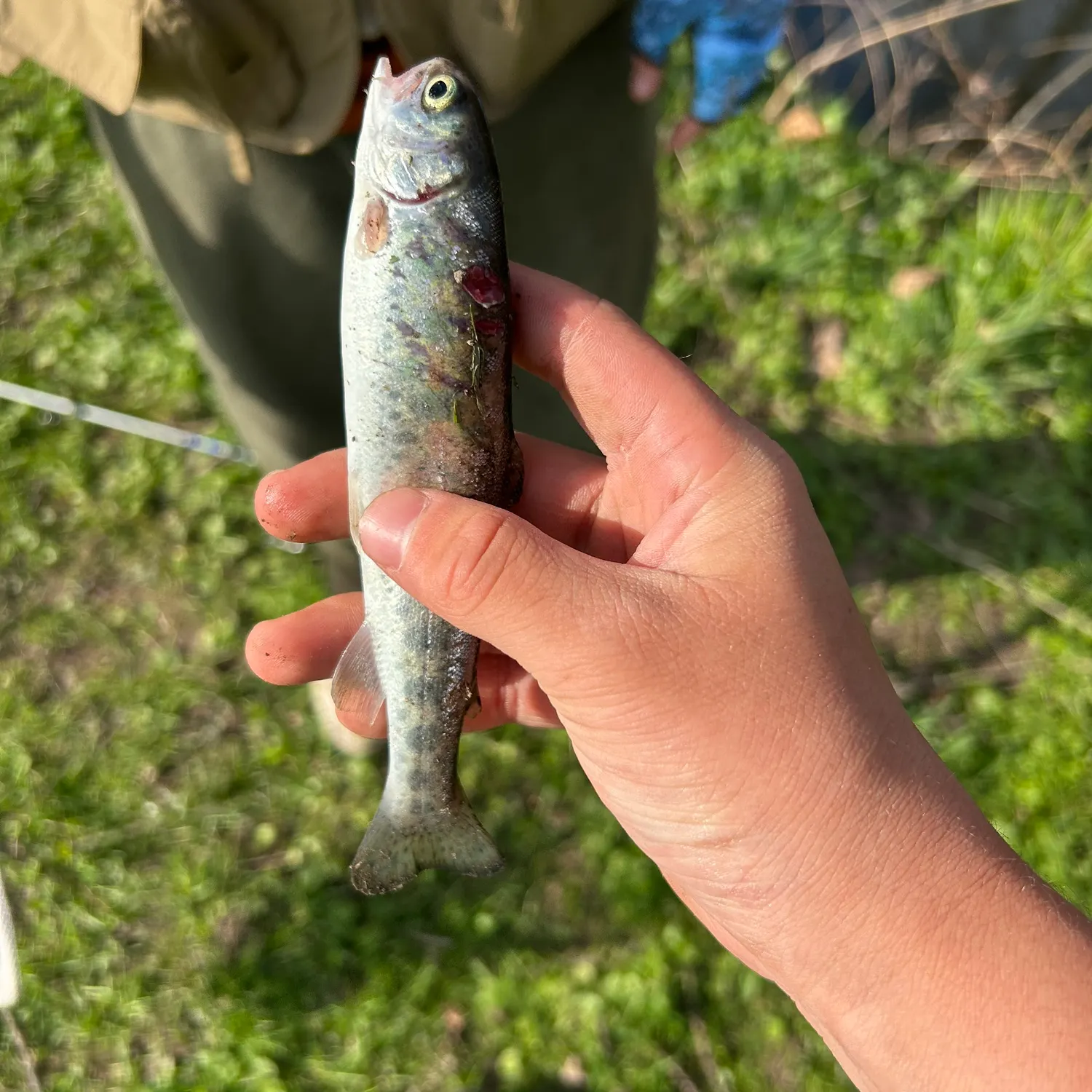 catch