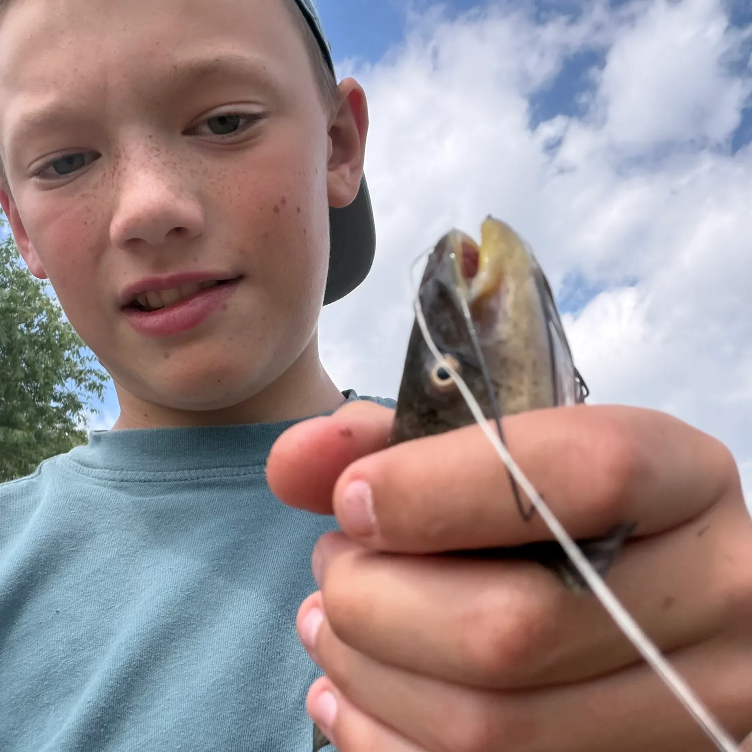 The most recent Black bullhead catches on Fishbrain
