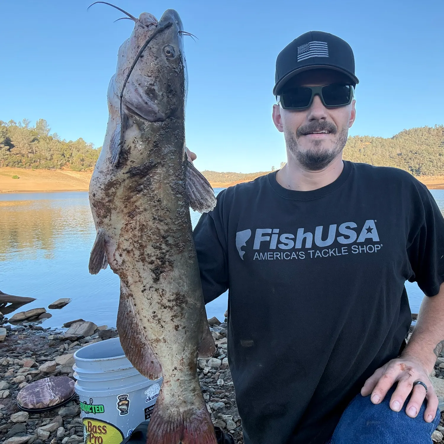 Channel catfish caught on Fishbrain