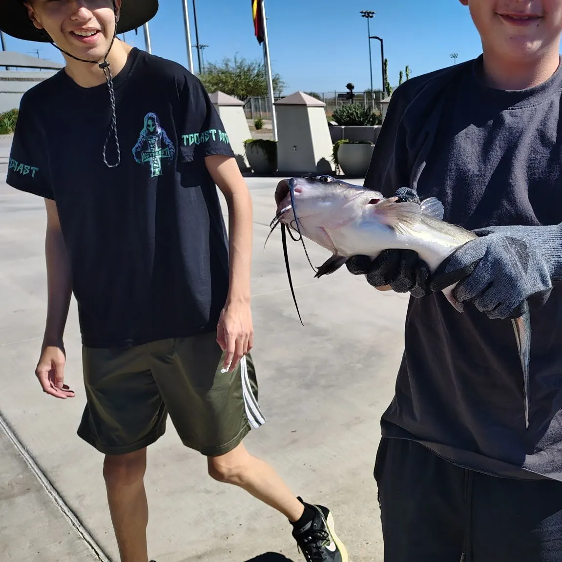 Channel catfish caught on Fishbrain