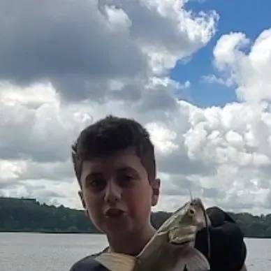 Channel catfish caught on Fishbrain