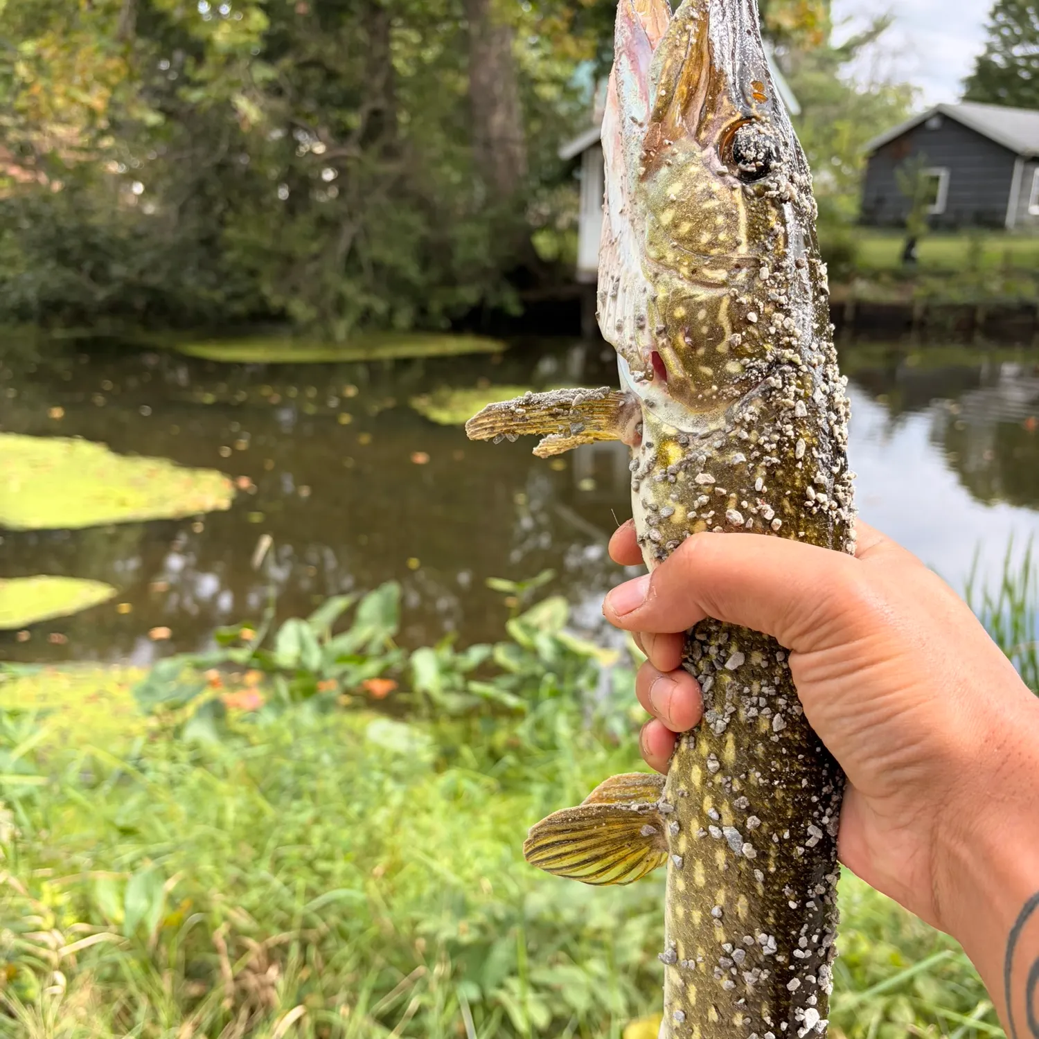 catch