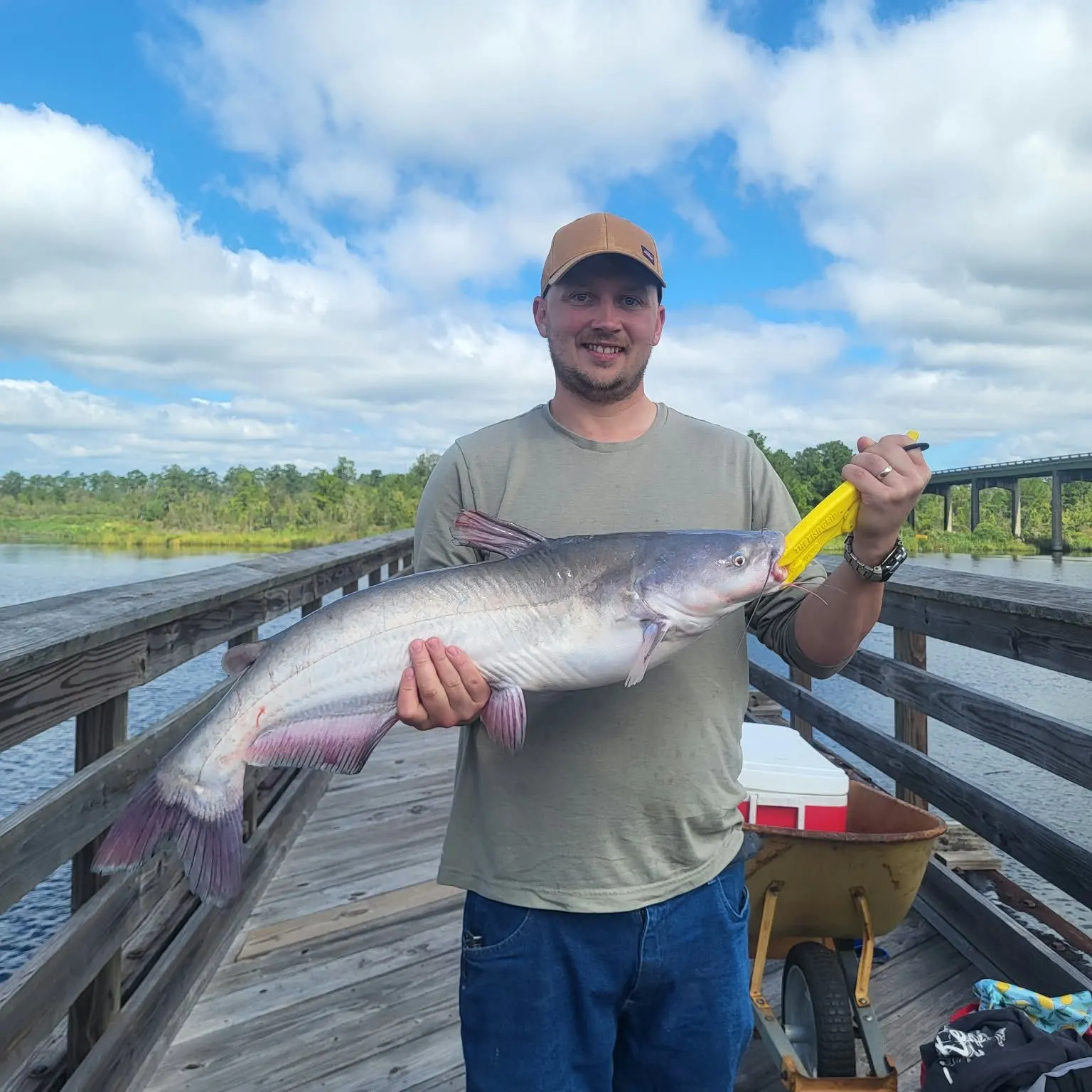 Channel catfish caught on Fishbrain