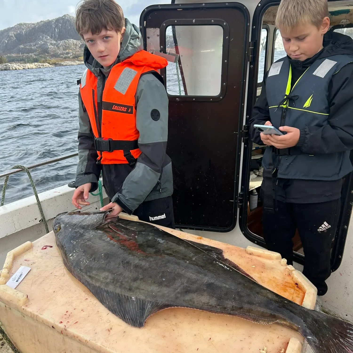 Atlantic halibut caught on Fishbrain