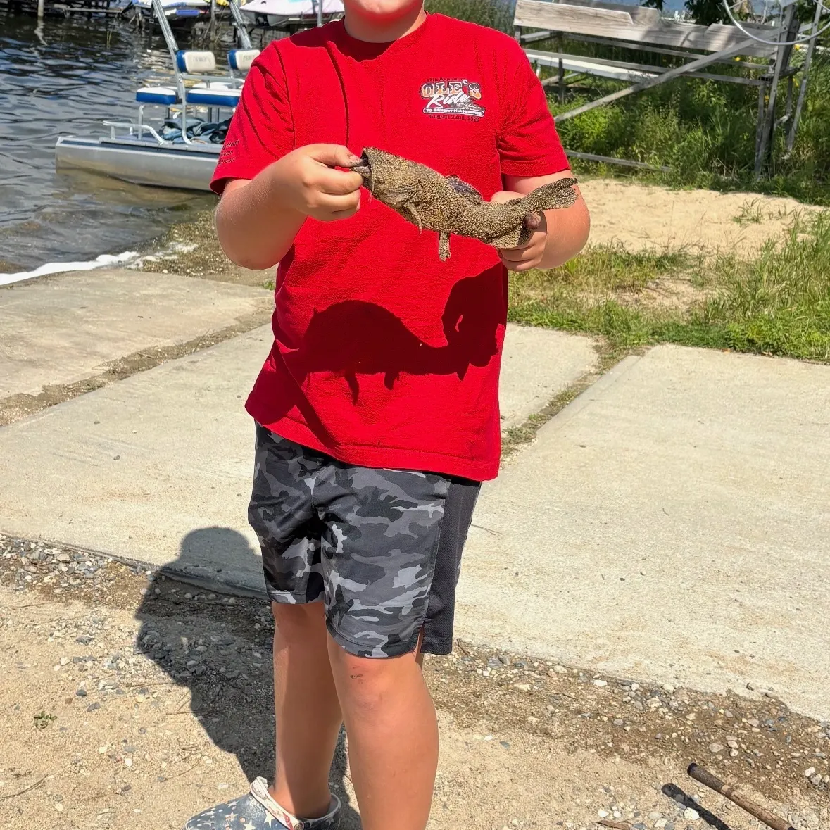 Yellow bullhead caught on Fishbrain