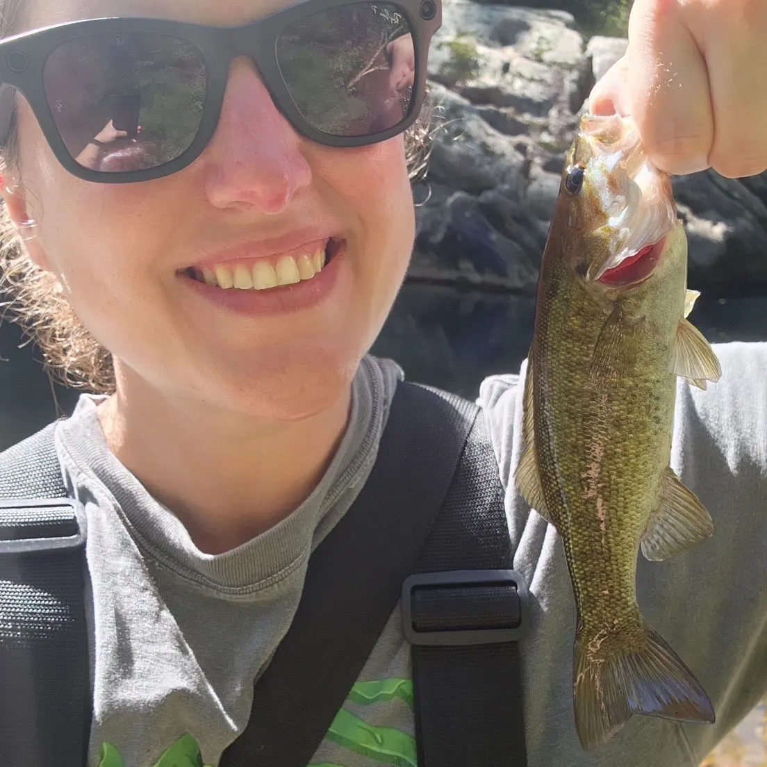 Smallmouth bass caught on Fishbrain