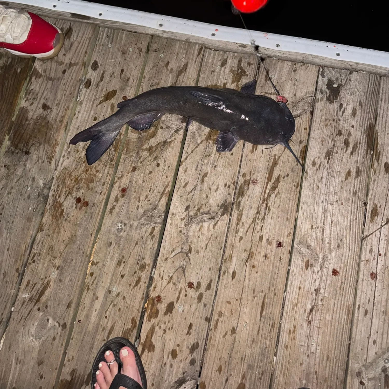 catch