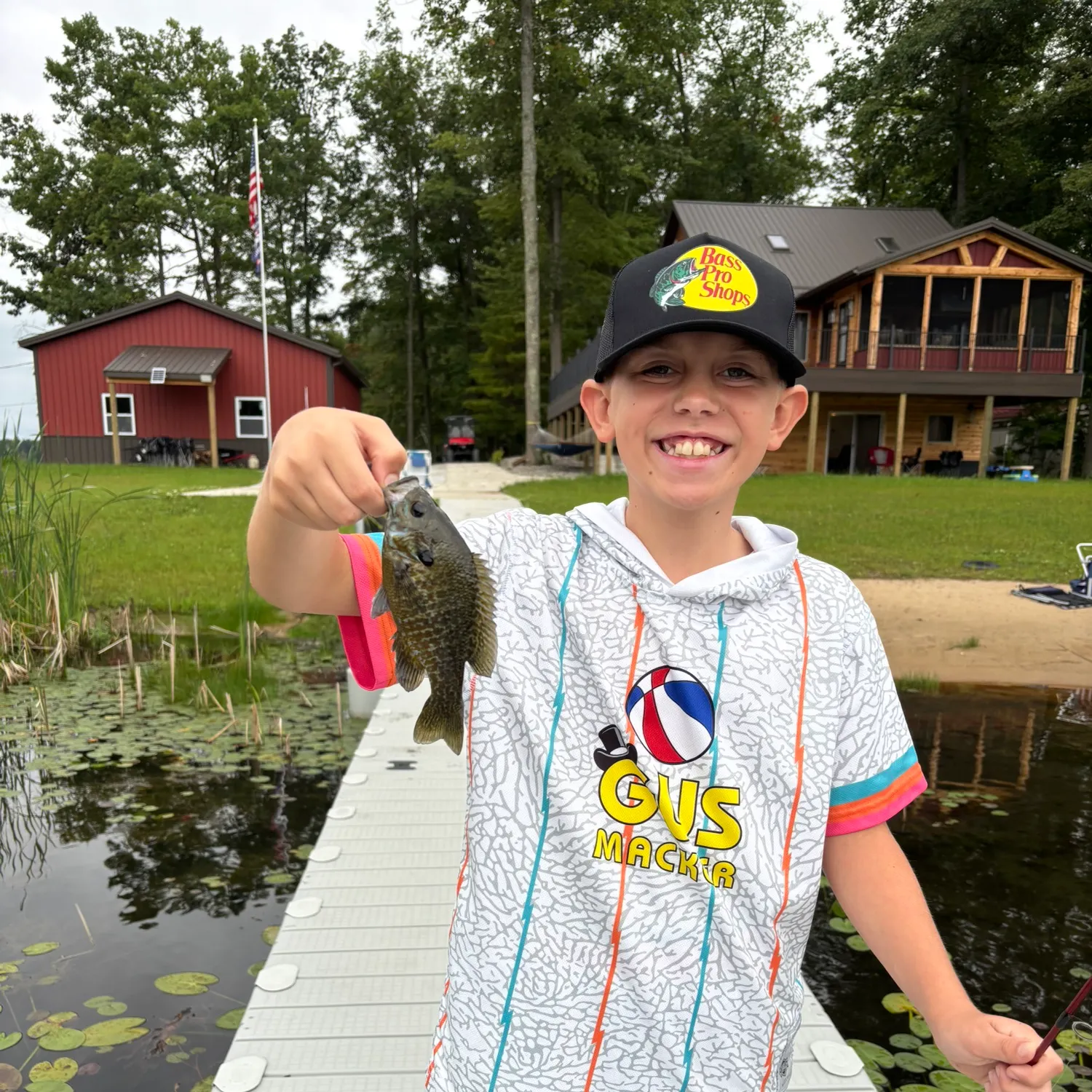 Bluegill caught on Fishbrain