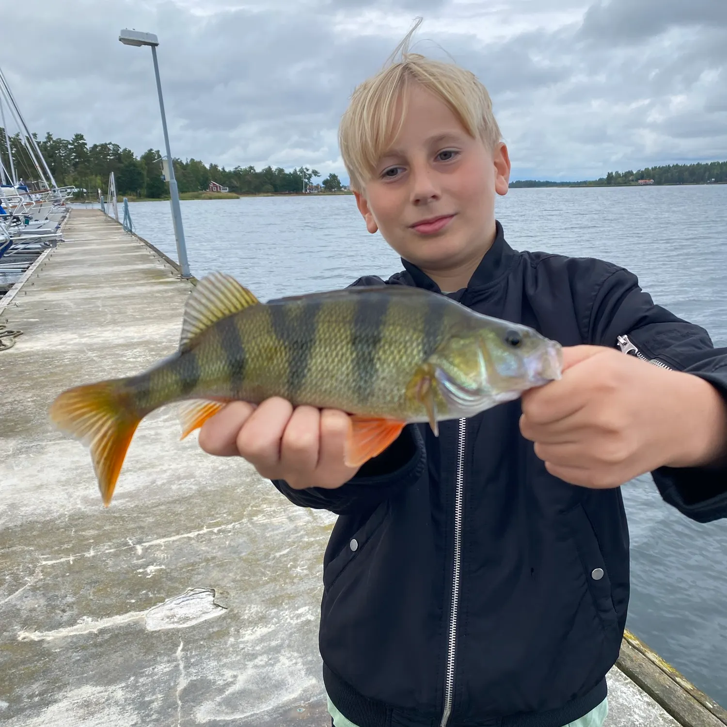 European perch caught on Fishbrain