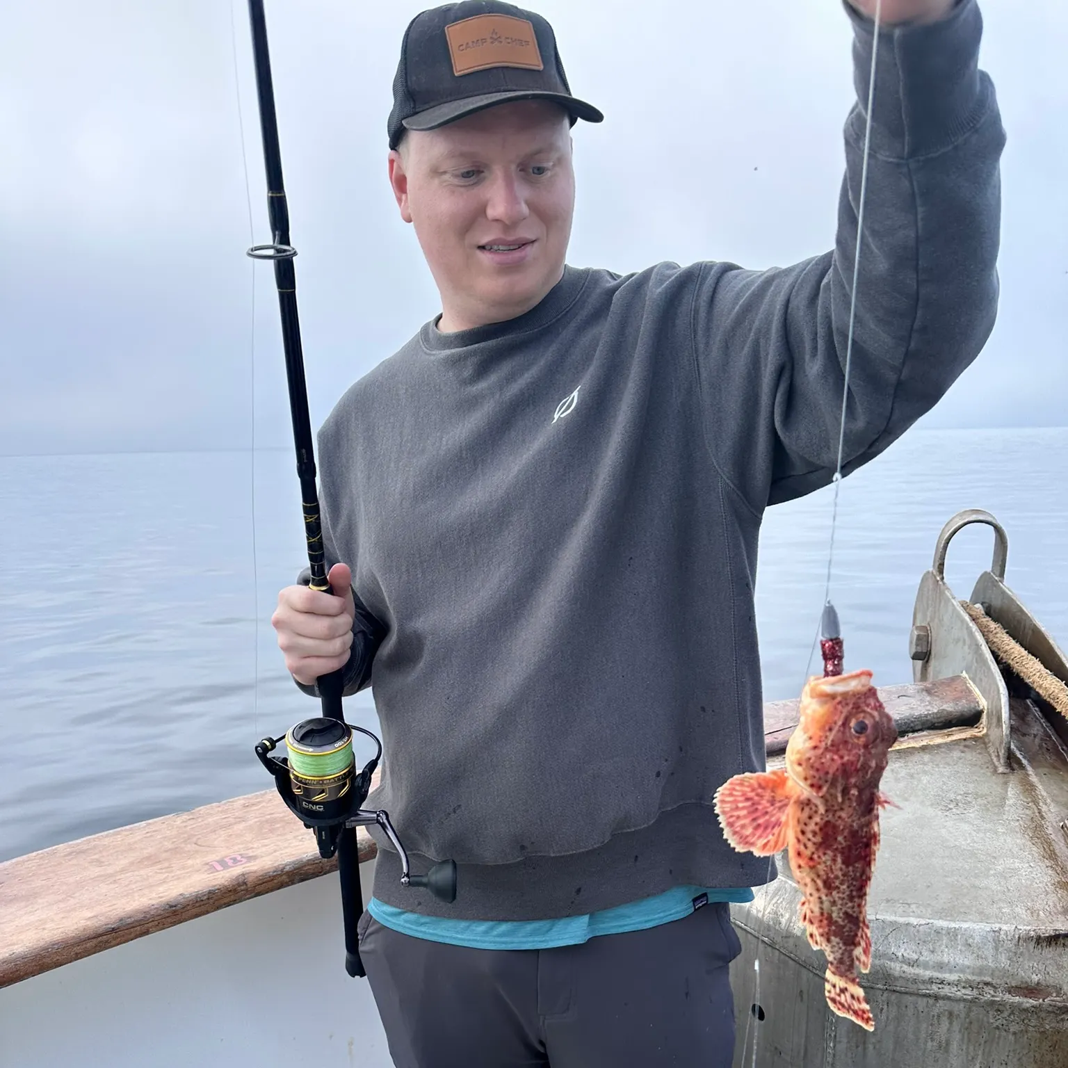 The most recent California scorpionfish catches on Fishbrain