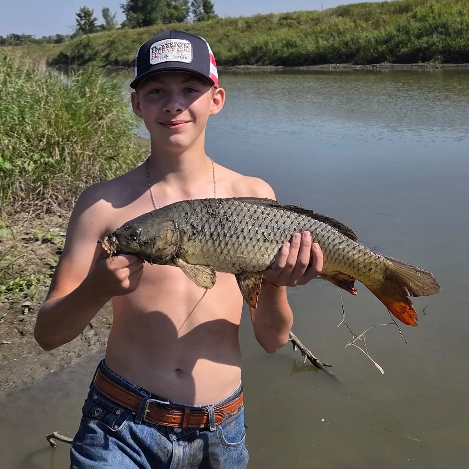 Common carp caught on Fishbrain