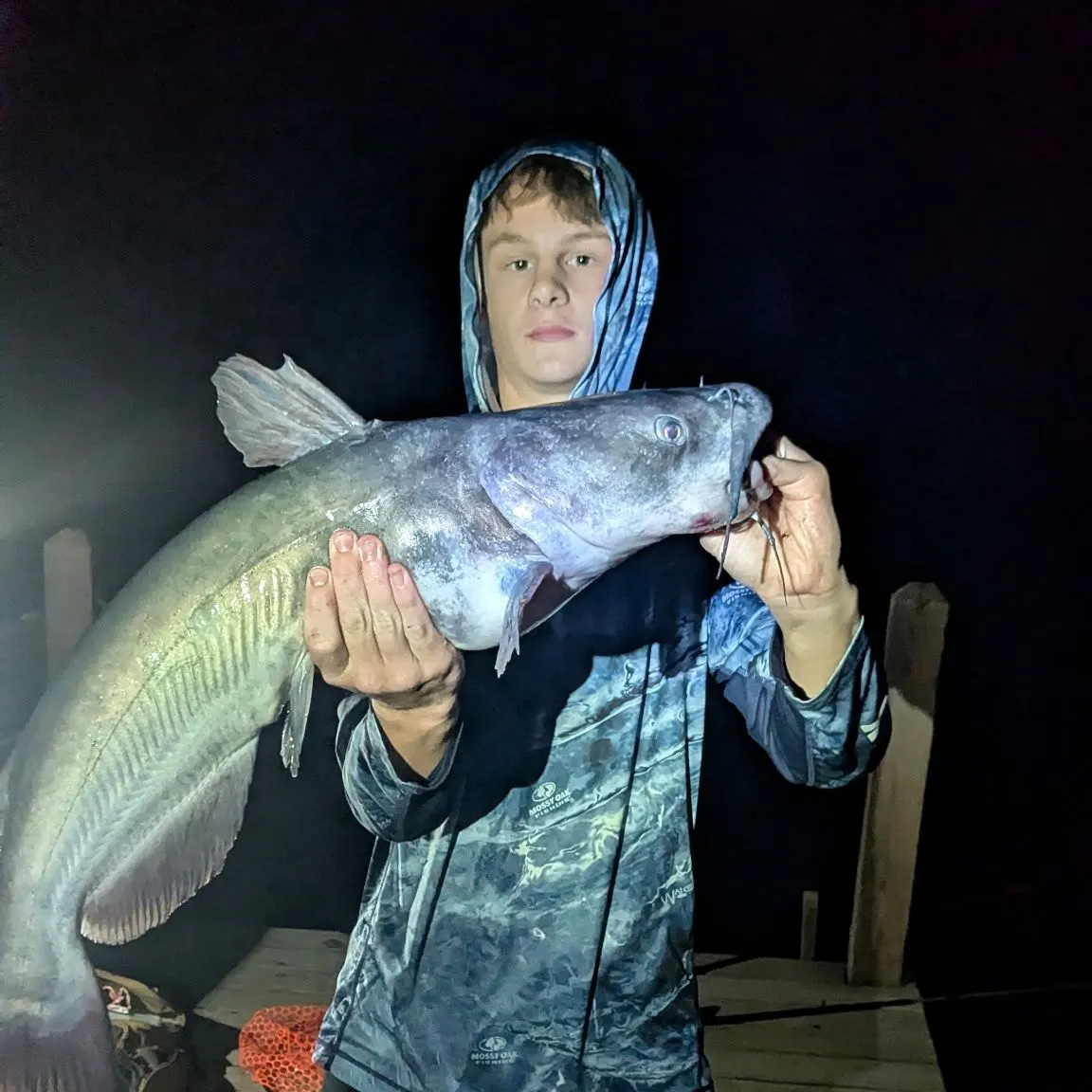 Channel catfish caught on Fishbrain