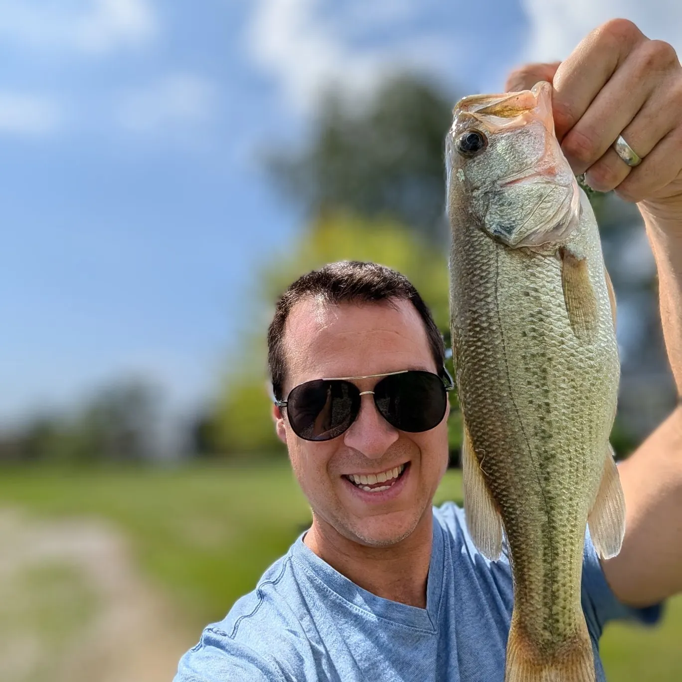 Largemouth bass caught on Fishbrain