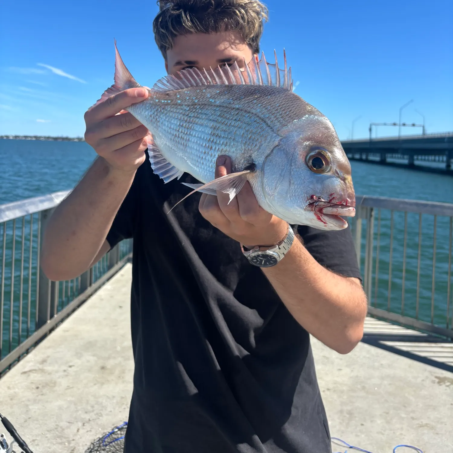 Australasian snapper caught on Fishbrain