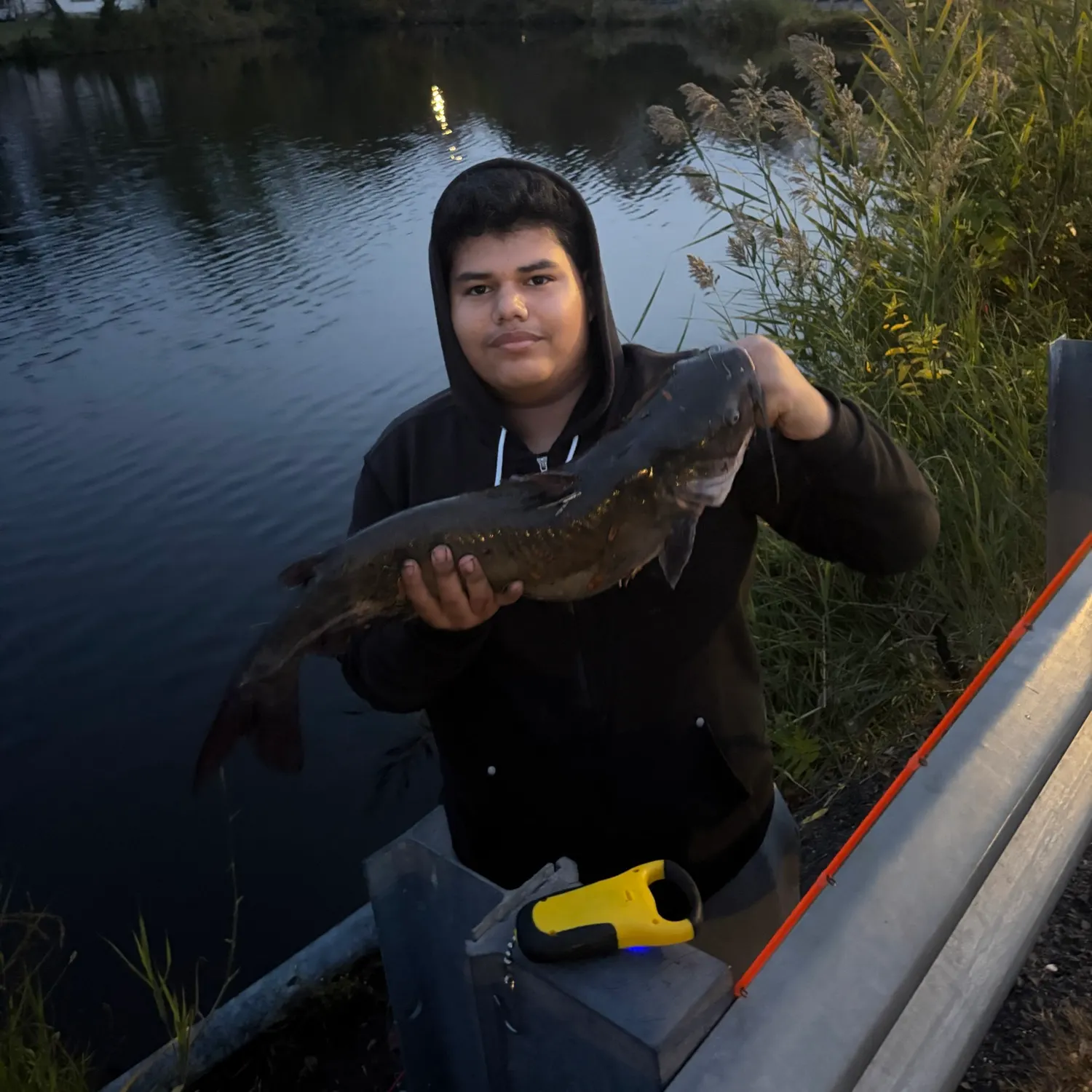 Channel catfish caught on Fishbrain