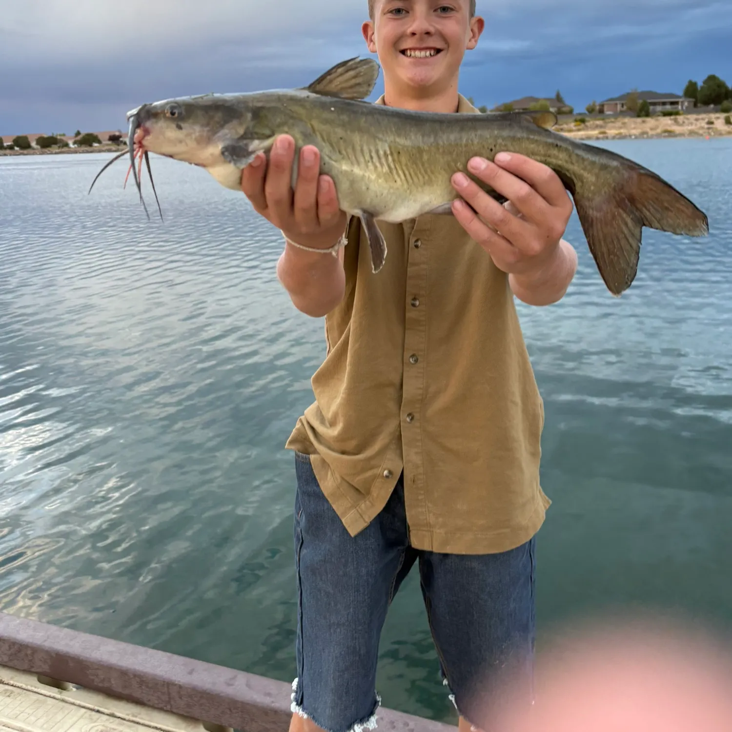 Channel catfish caught on Fishbrain
