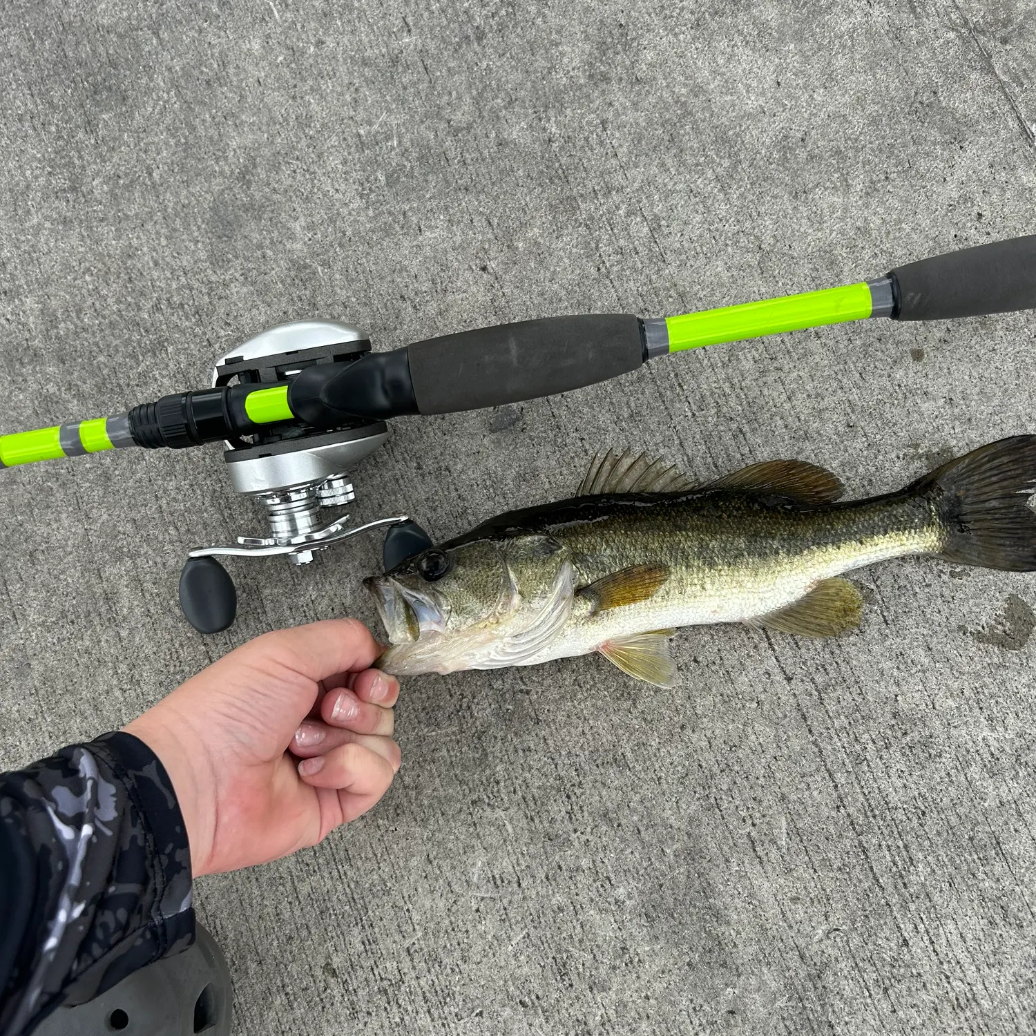 recently logged catches