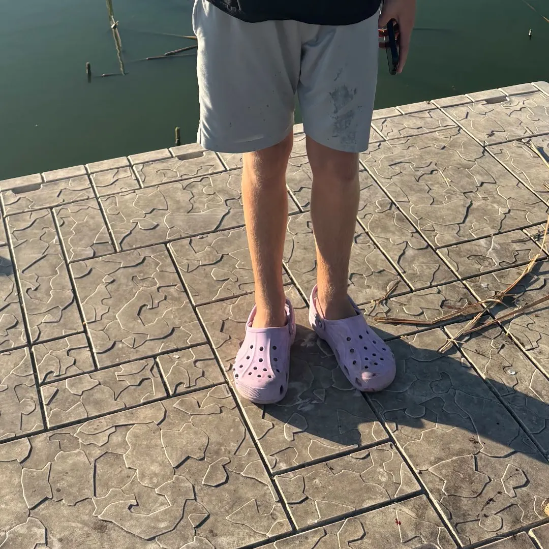 Common carp caught on Fishbrain