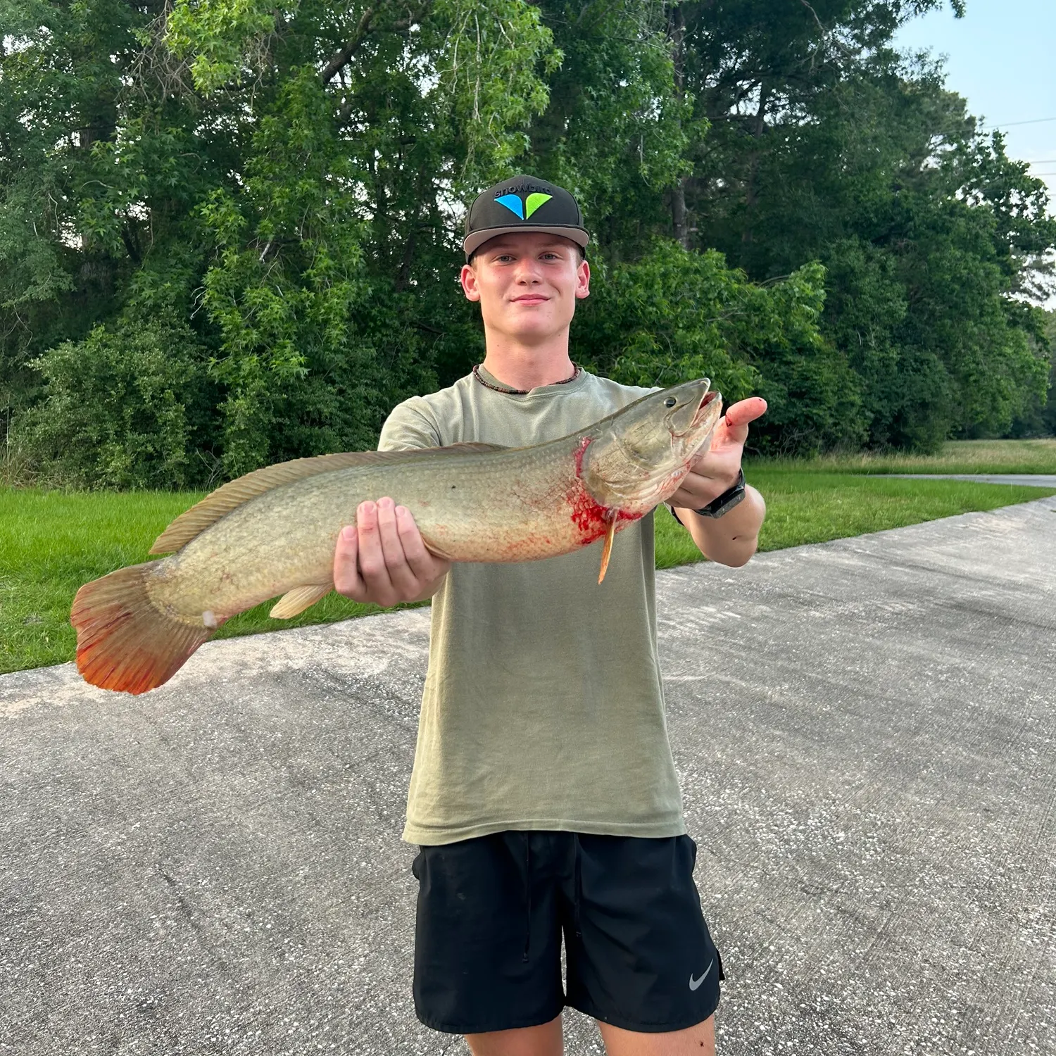 recently logged catches