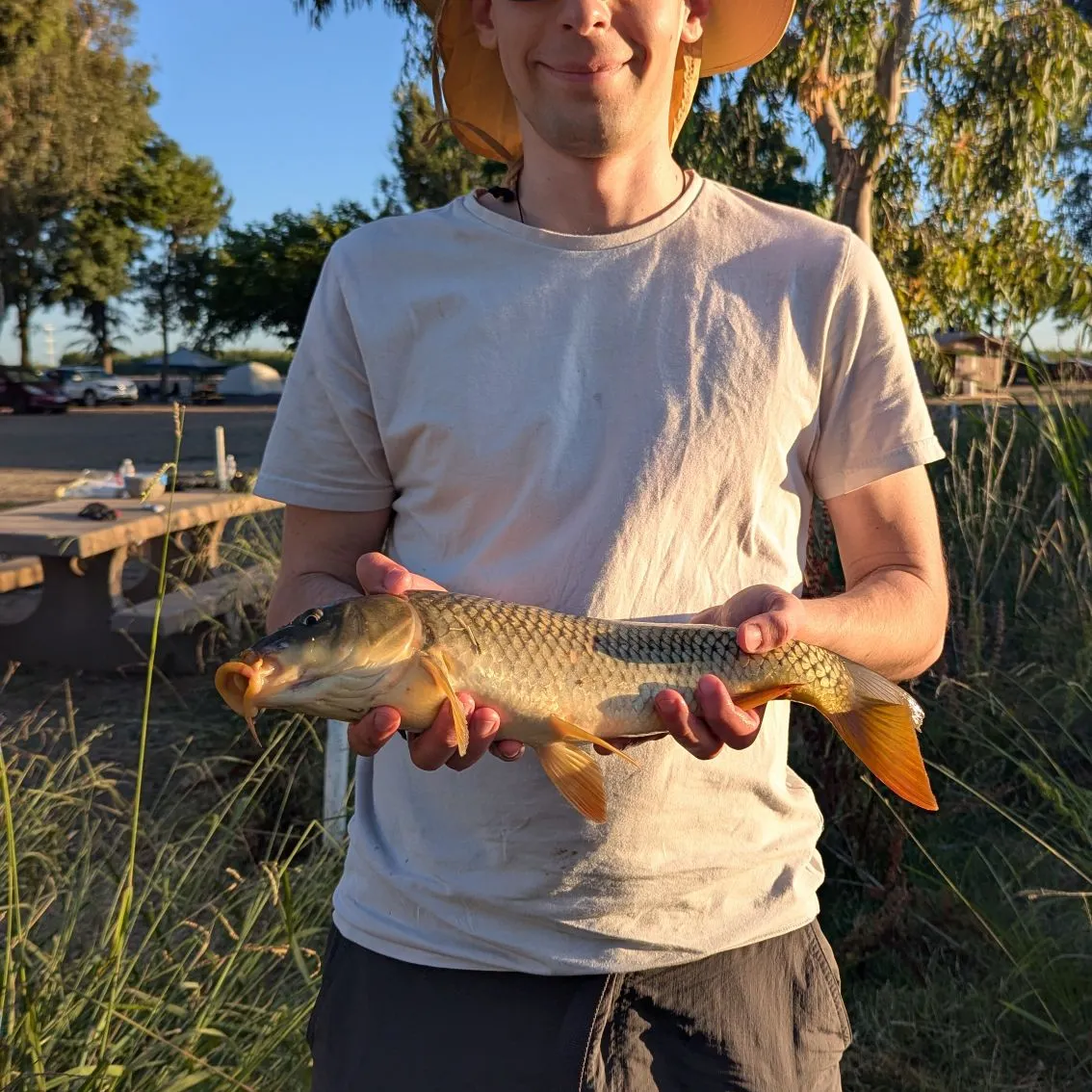 The most recent Grass carp catches on Fishbrain