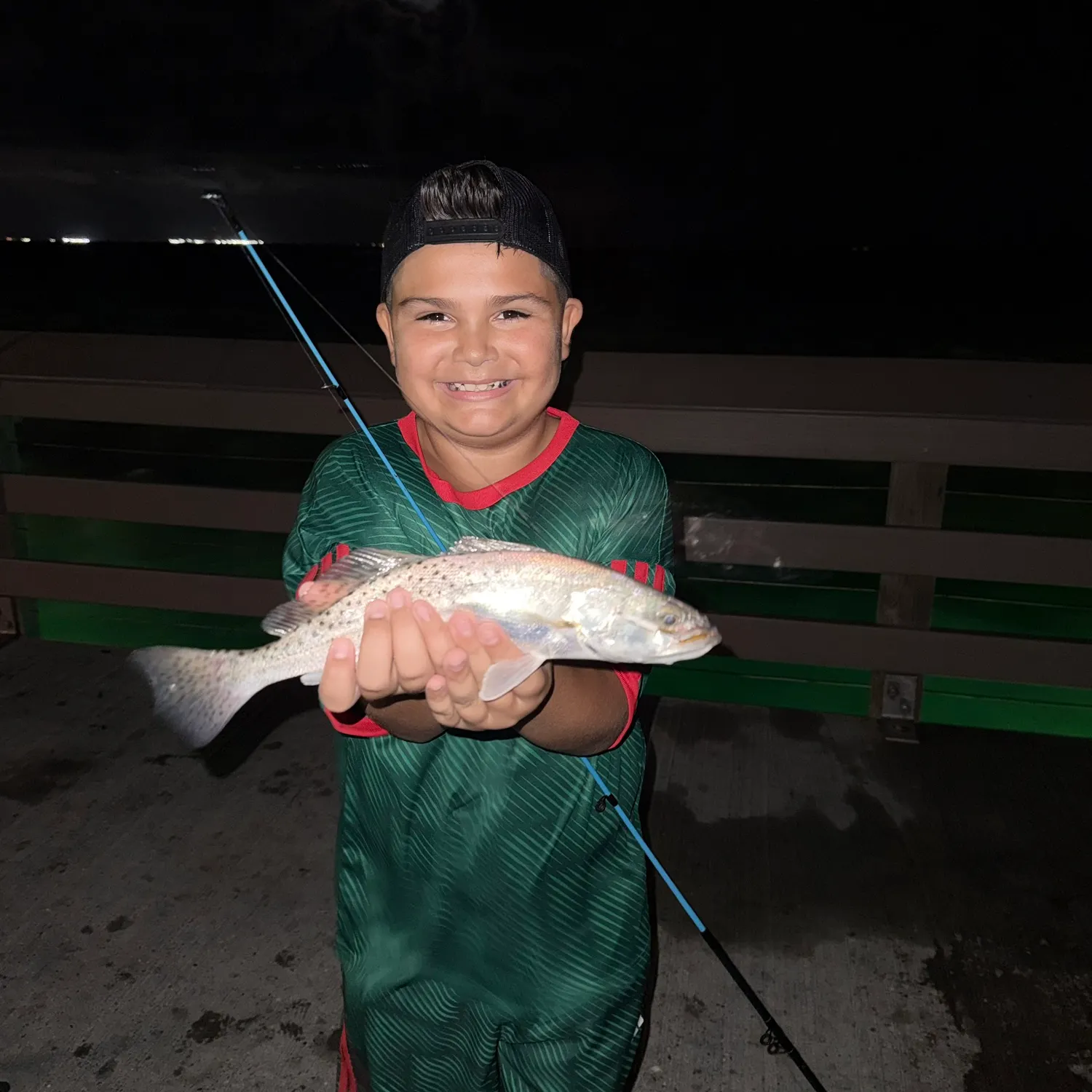 The most recent Sea trout catches on Fishbrain