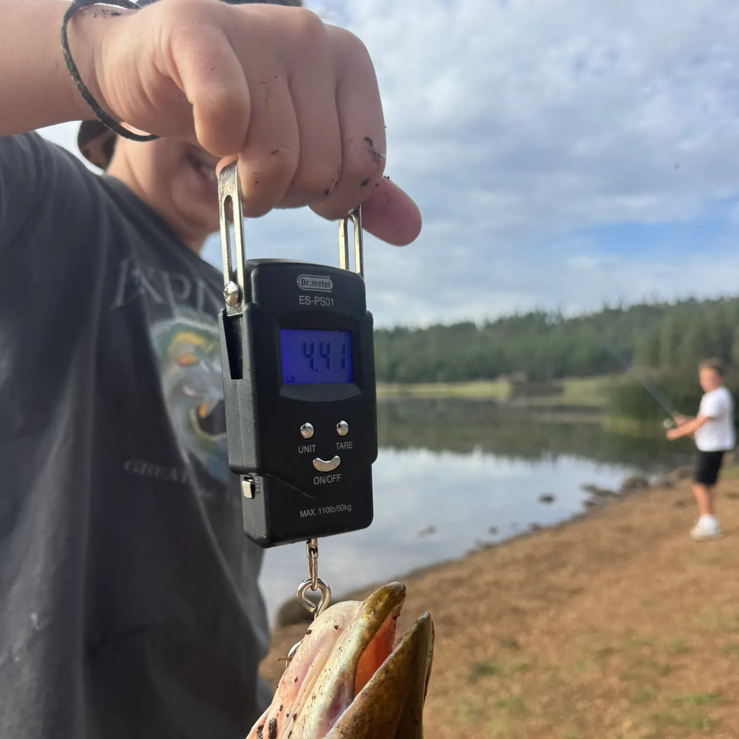 Northern pike caught on Fishbrain