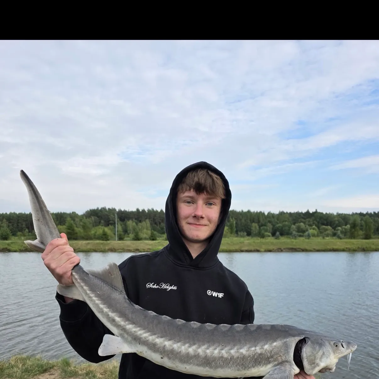 The most recent European sturgeon catches on Fishbrain