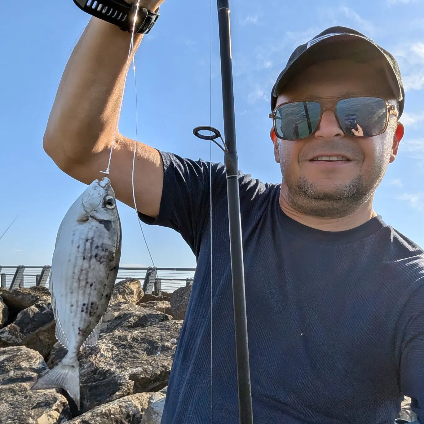 The most recent Marbled Spinefoot catches on Fishbrain