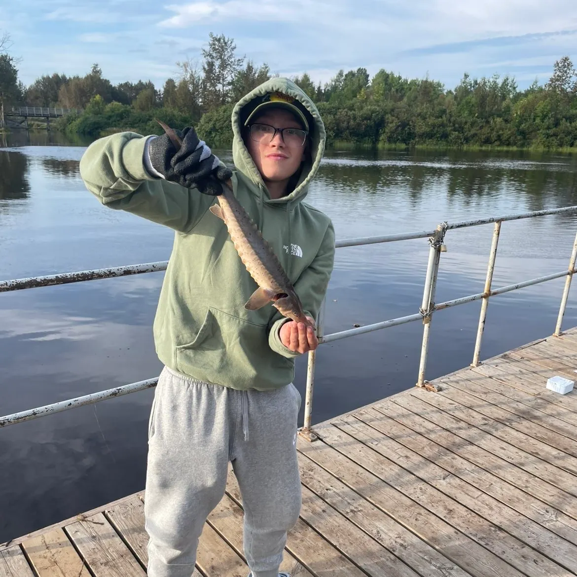 Lake sturgeon caught on Fishbrain
