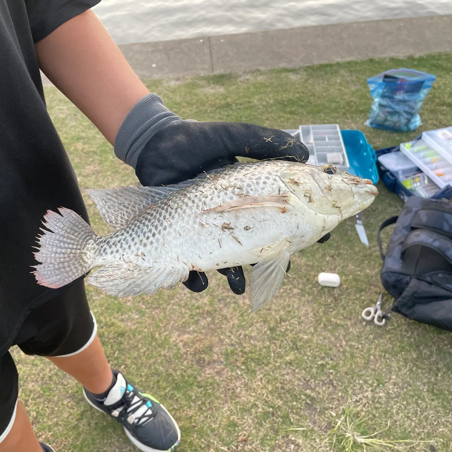 catch