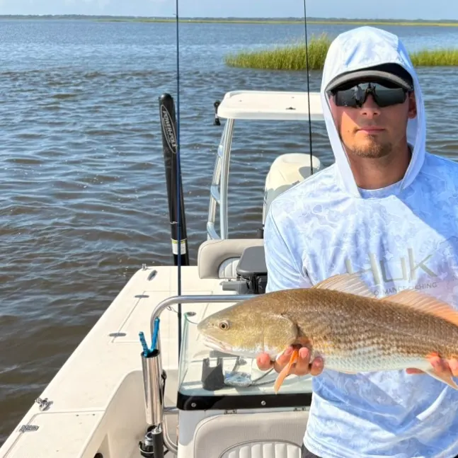 Red drum caught on Fishbrain