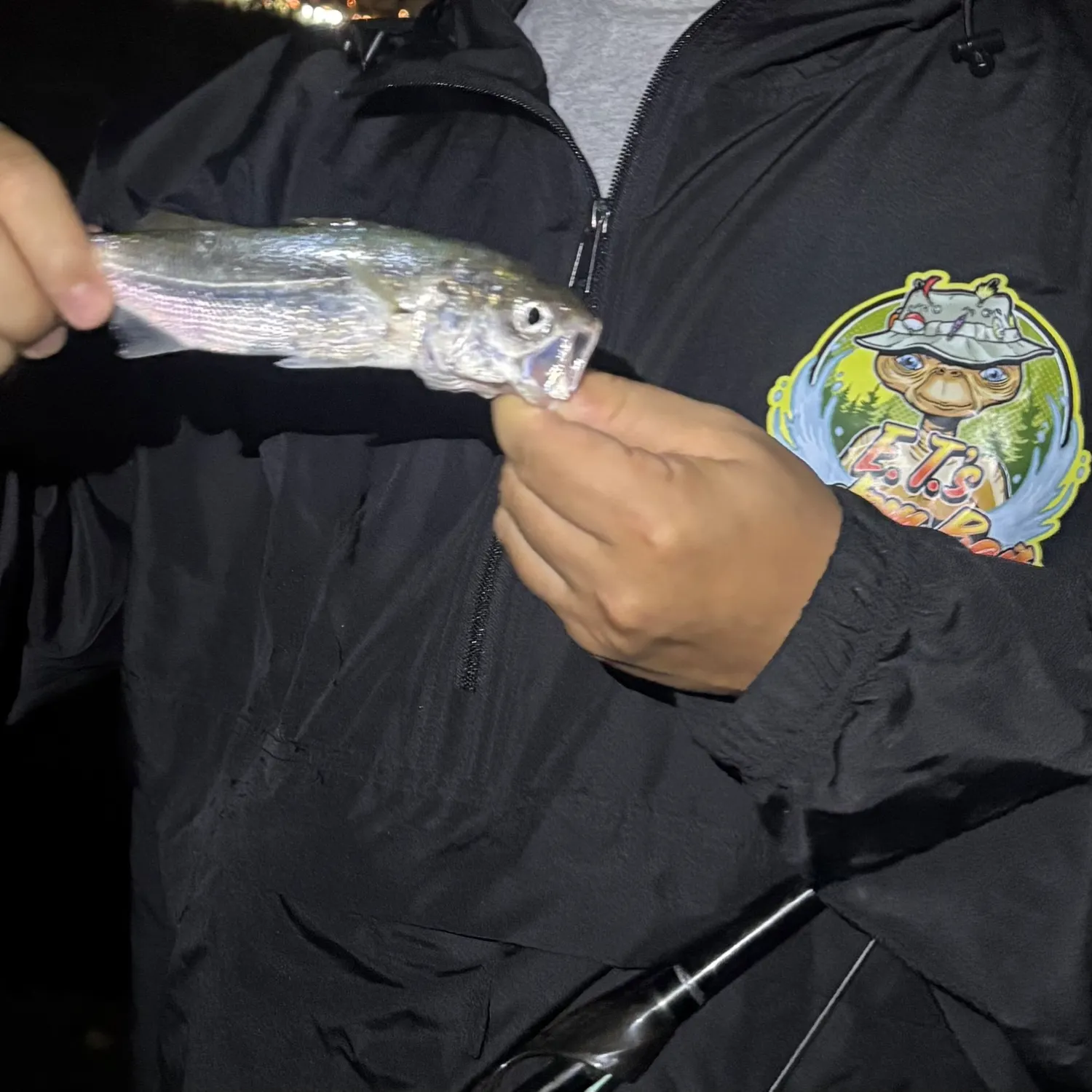 The most recent Round sardinella catches on Fishbrain