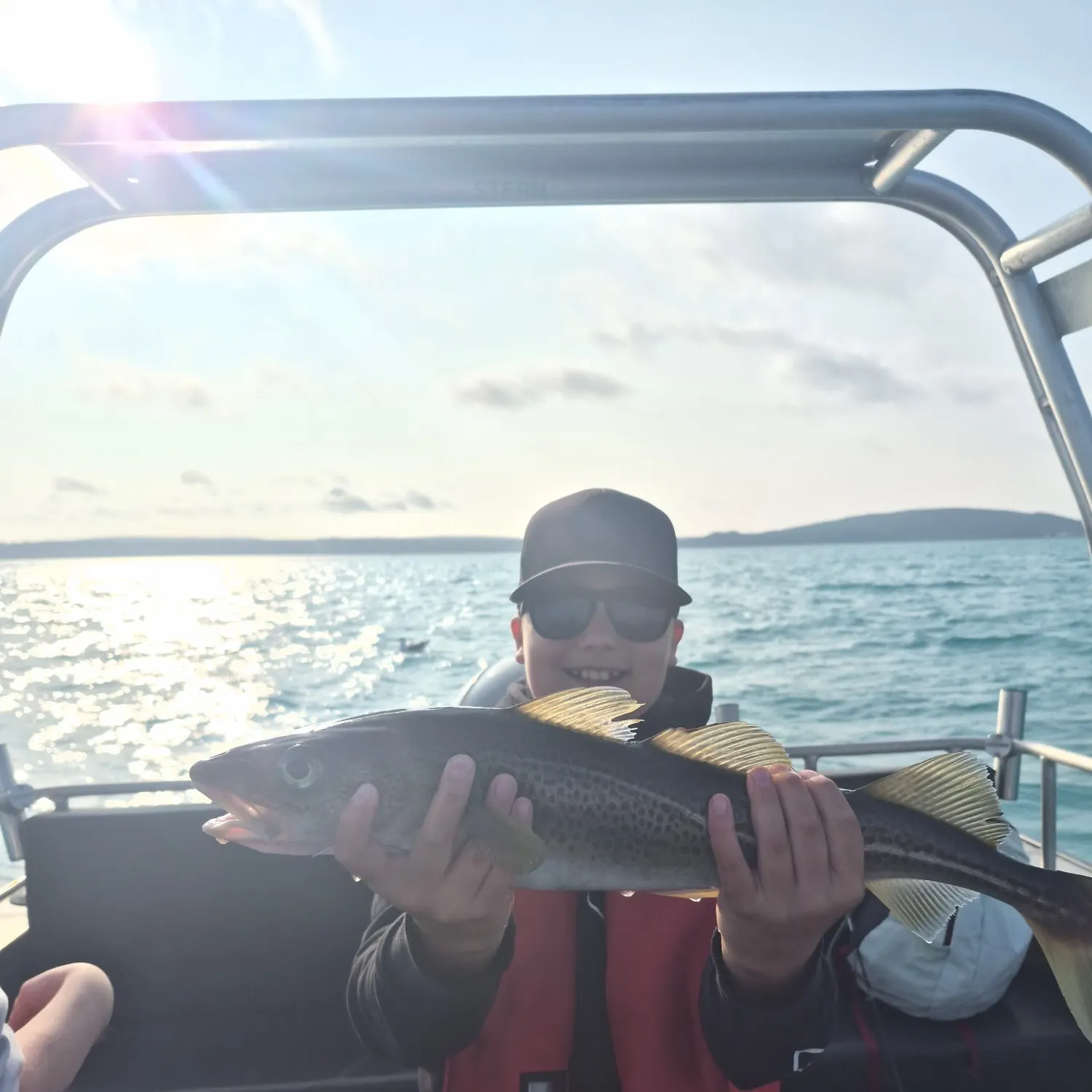 Atlantic cod caught on Fishbrain