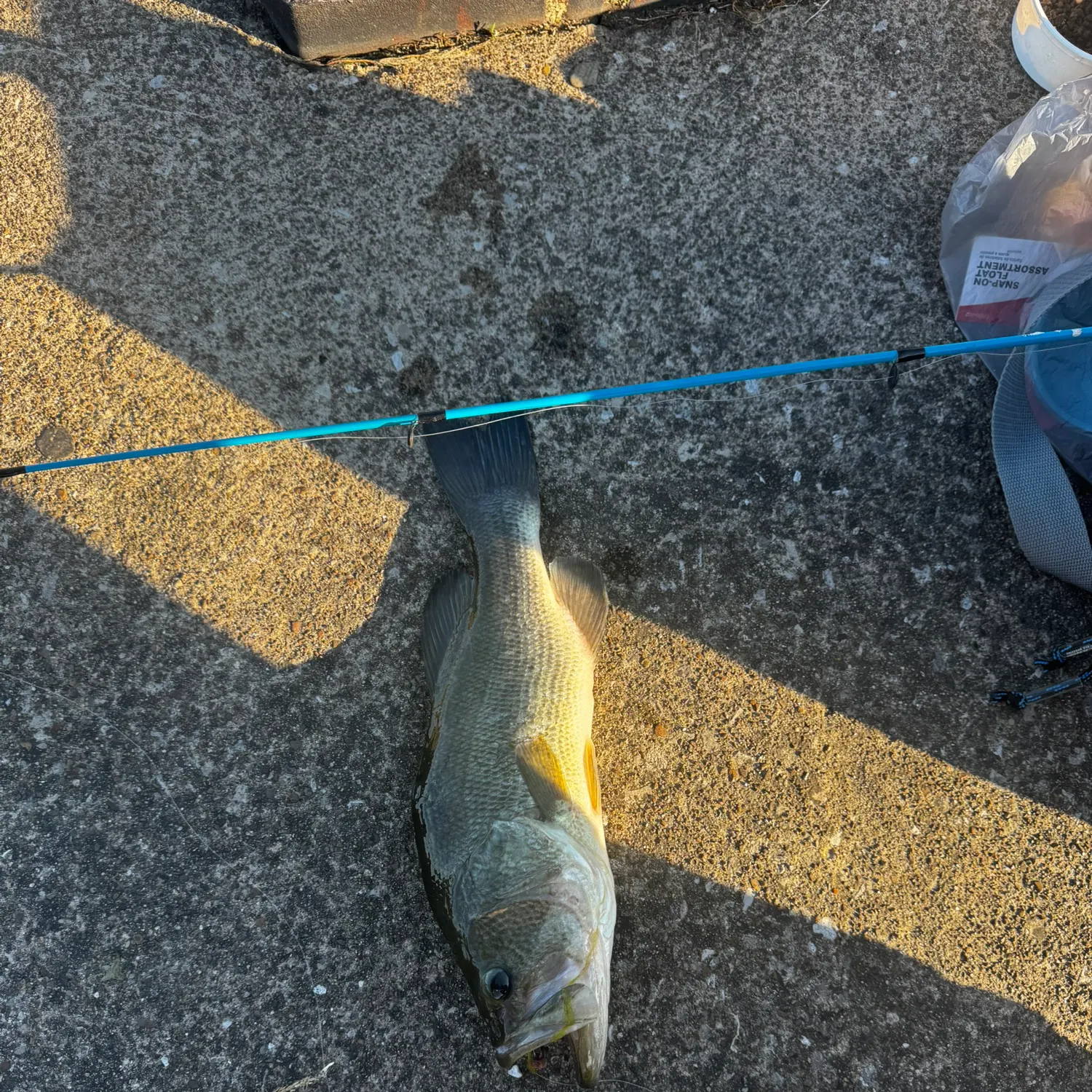 catch