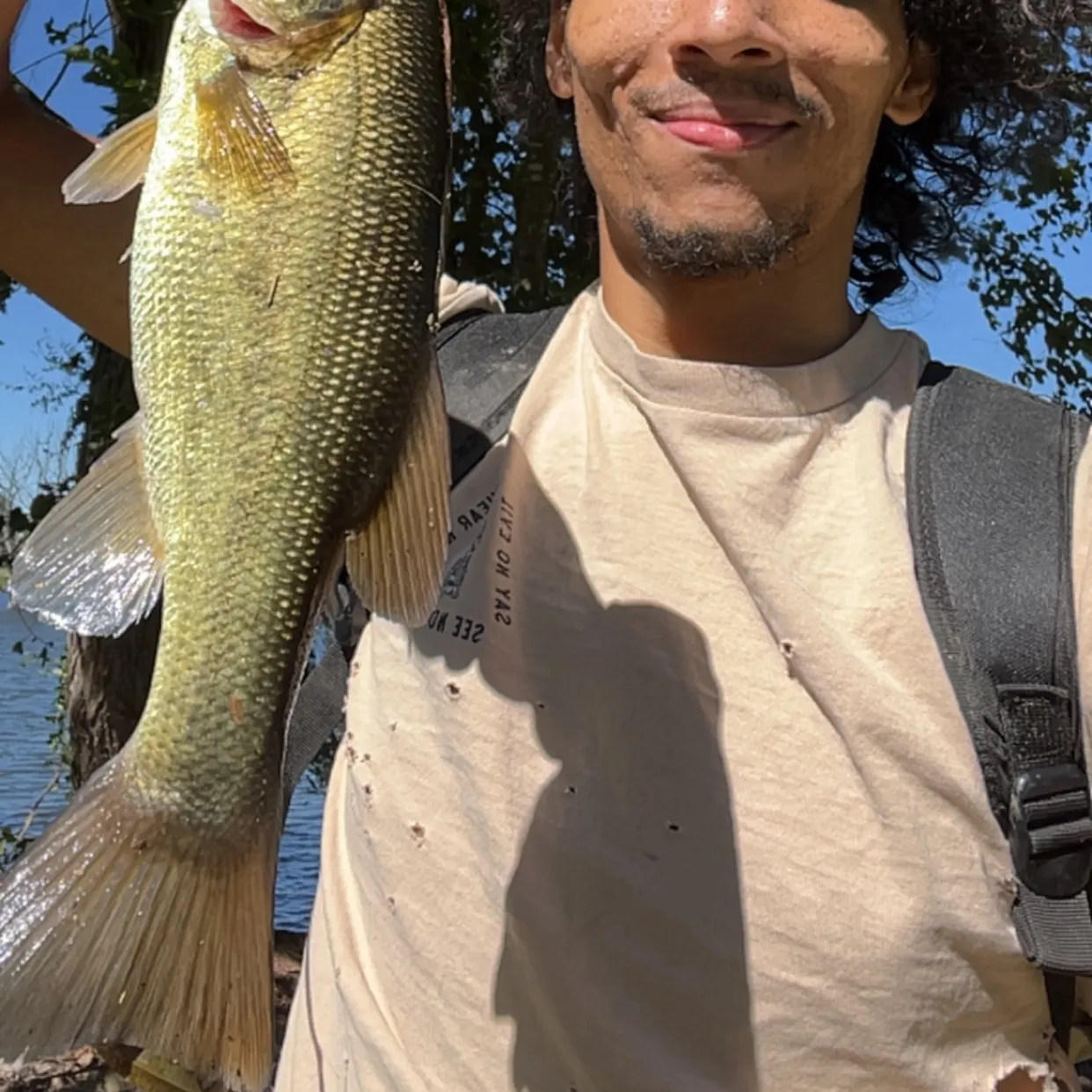 Largemouth bass caught on Fishbrain